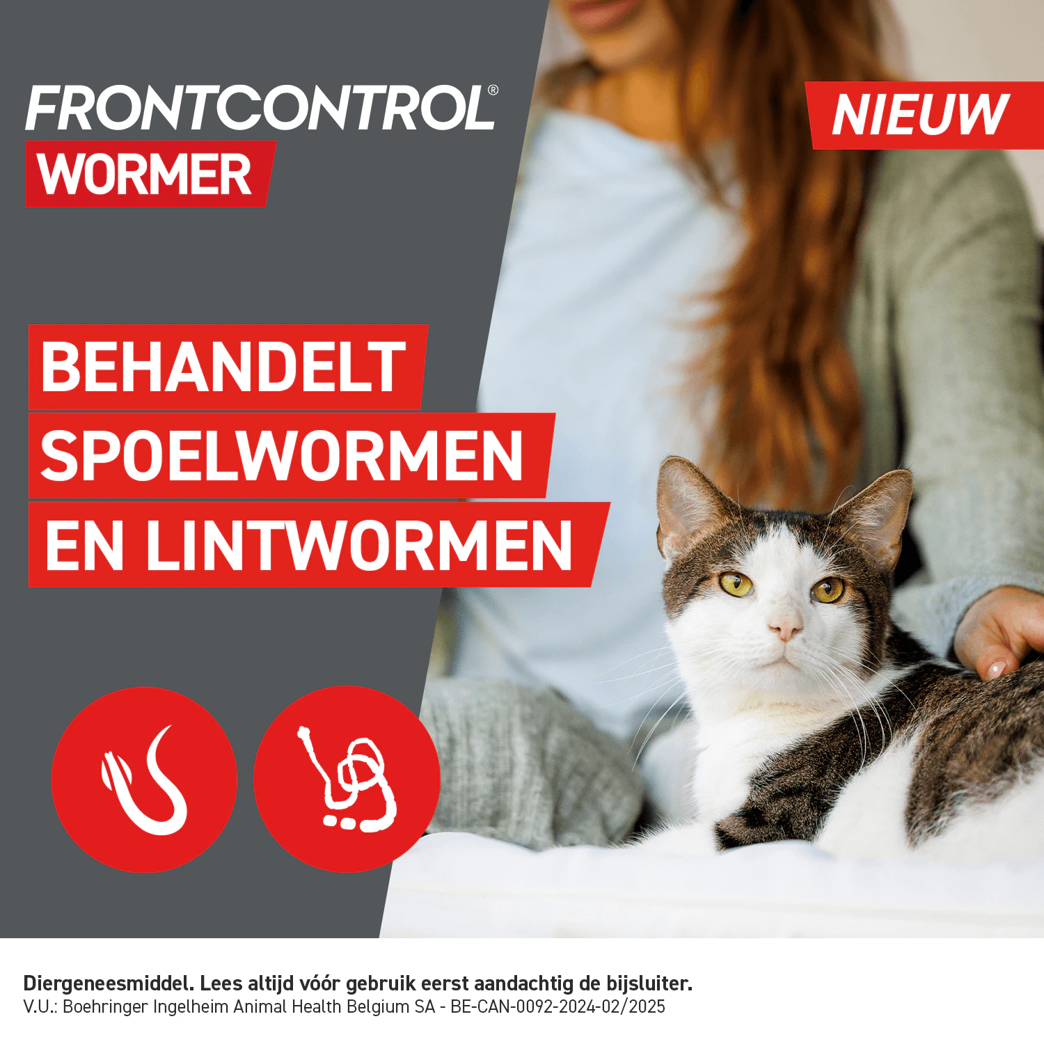 Frontcontrol Wormer Kat