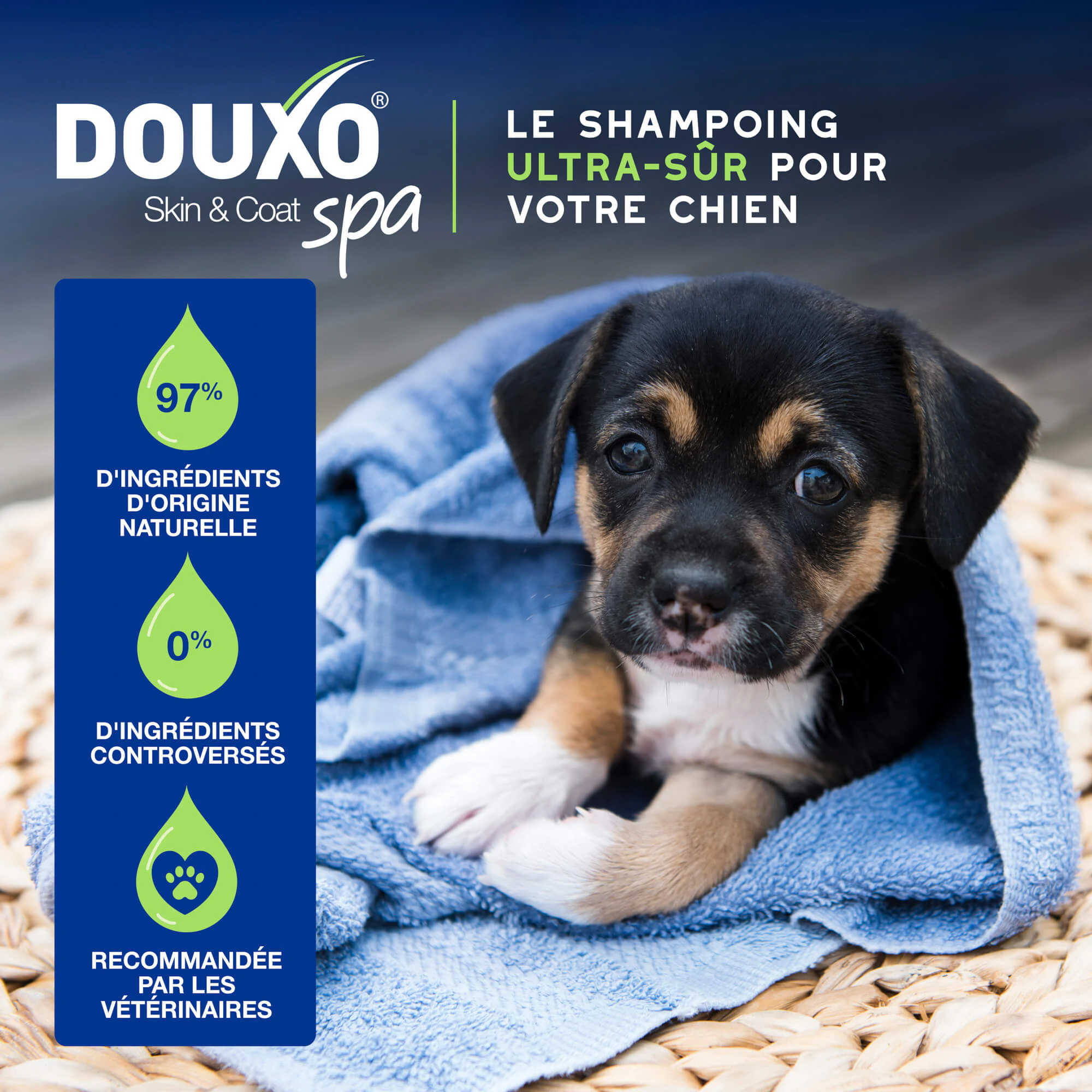Douxo Shampoo Spa pour Chiot