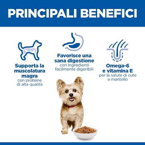 Hill's Science Plan Small & Mini - Adult - Pollo