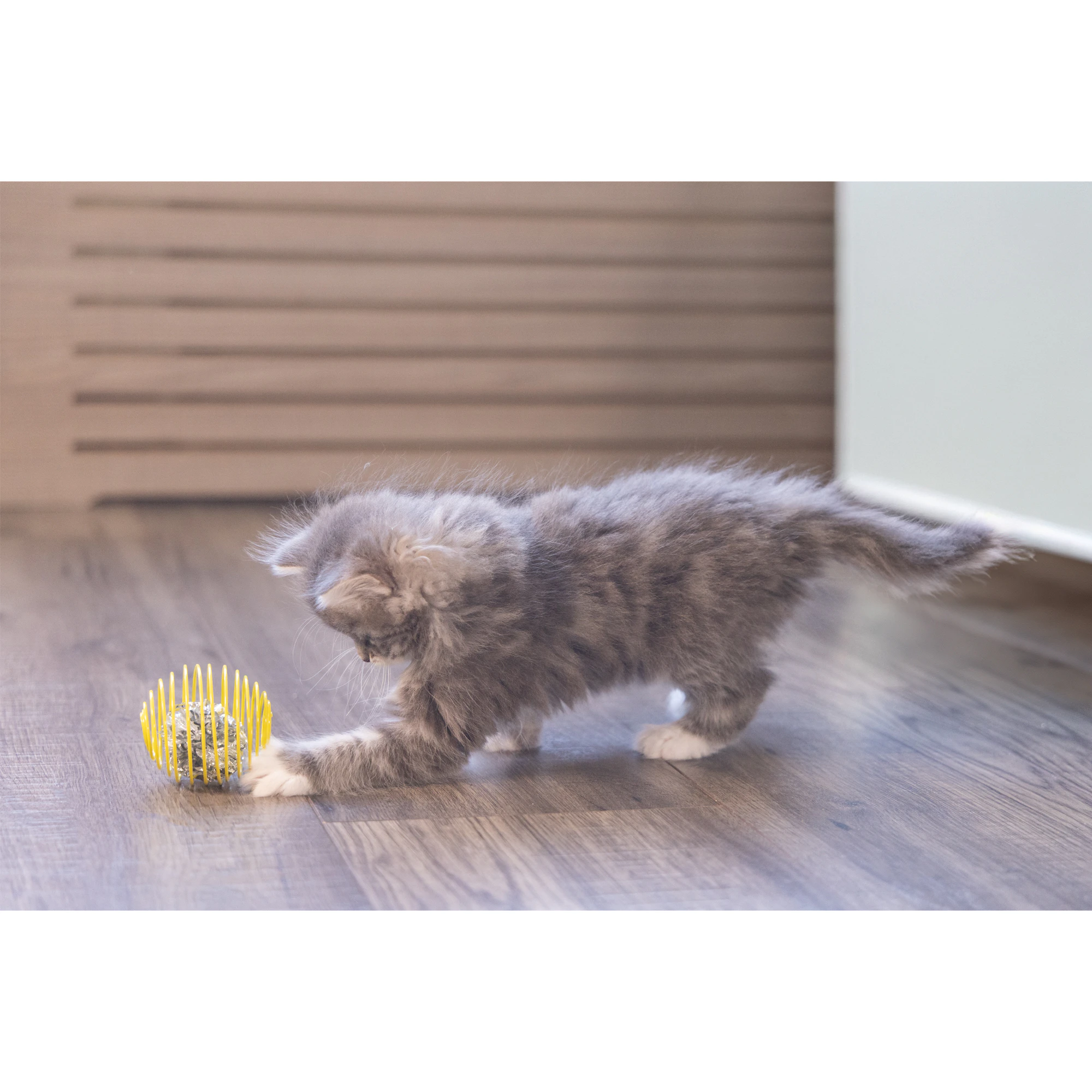 Beeztees Balle à Ressort pour Chaton