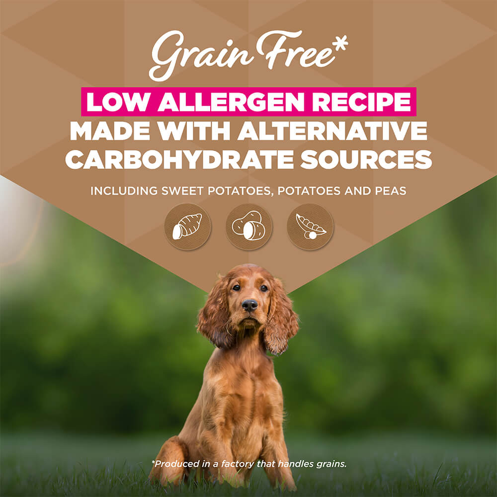 Eukanuba Dog Puppy Small/Medium Grainfree Dog Food