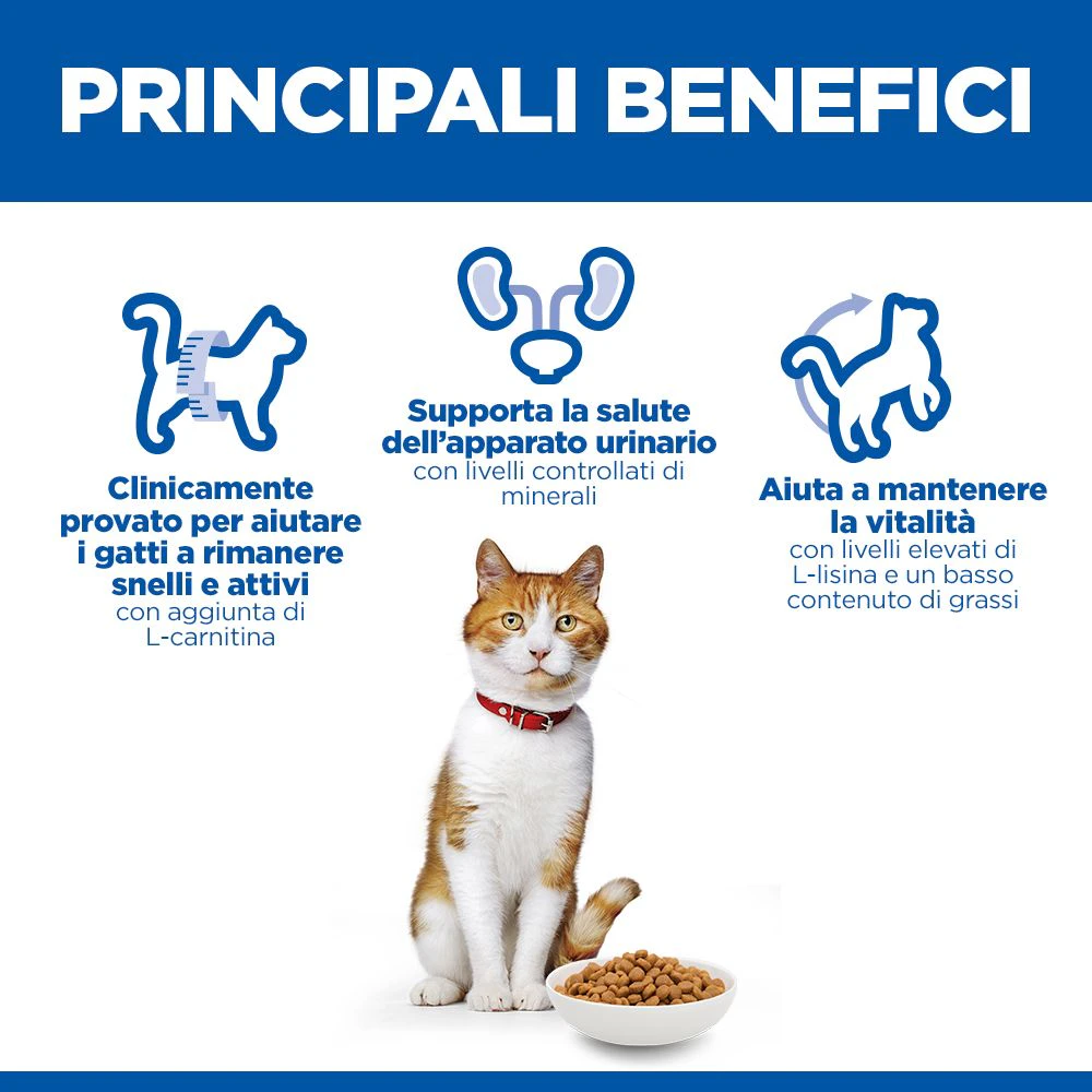 Hill's Science Plan Sterilised Cat - Adult - Pollo