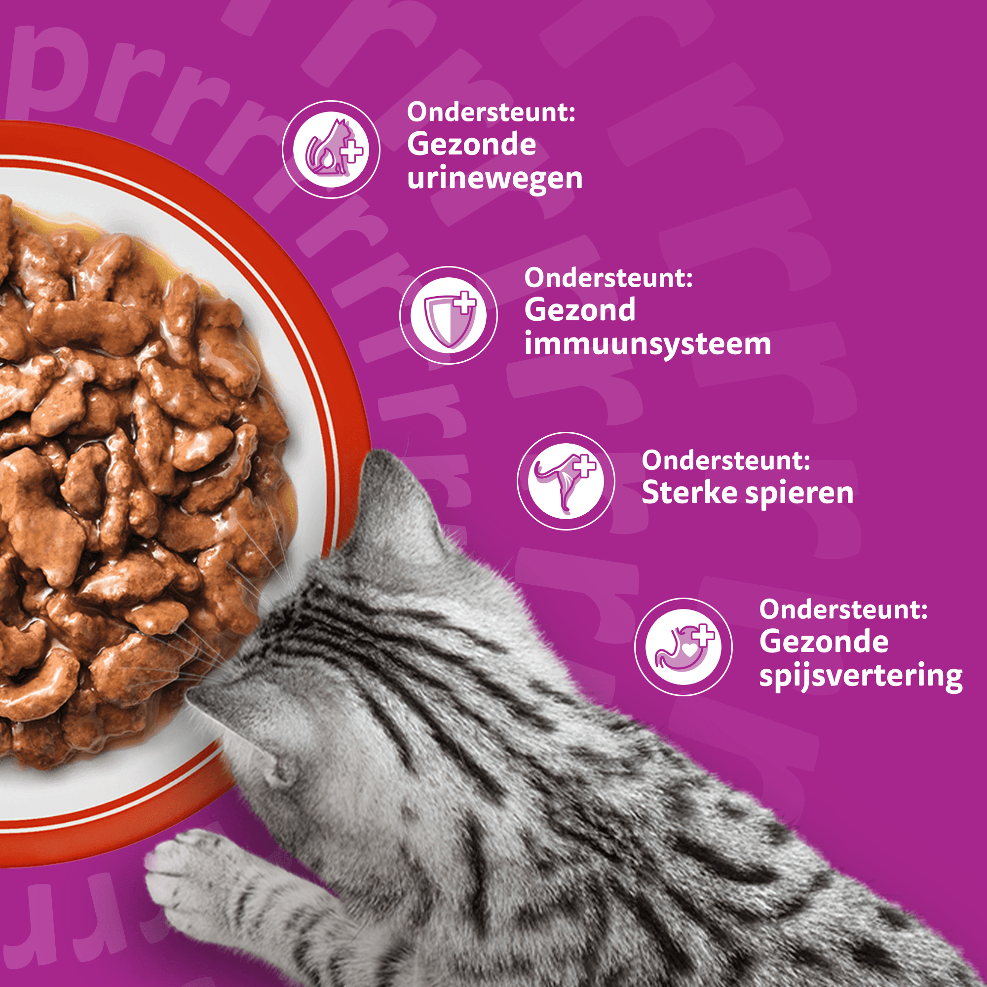 Whiskas 7+ Classic Selectie in saus