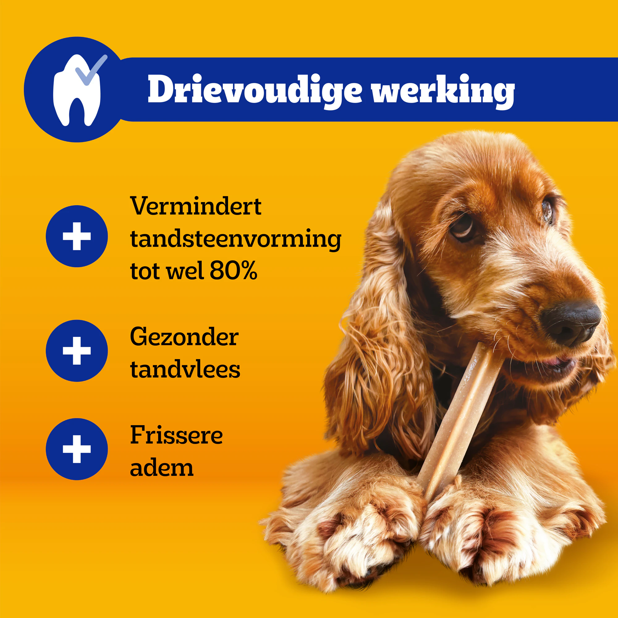 Pedigree DentaStix - Mini Multipack