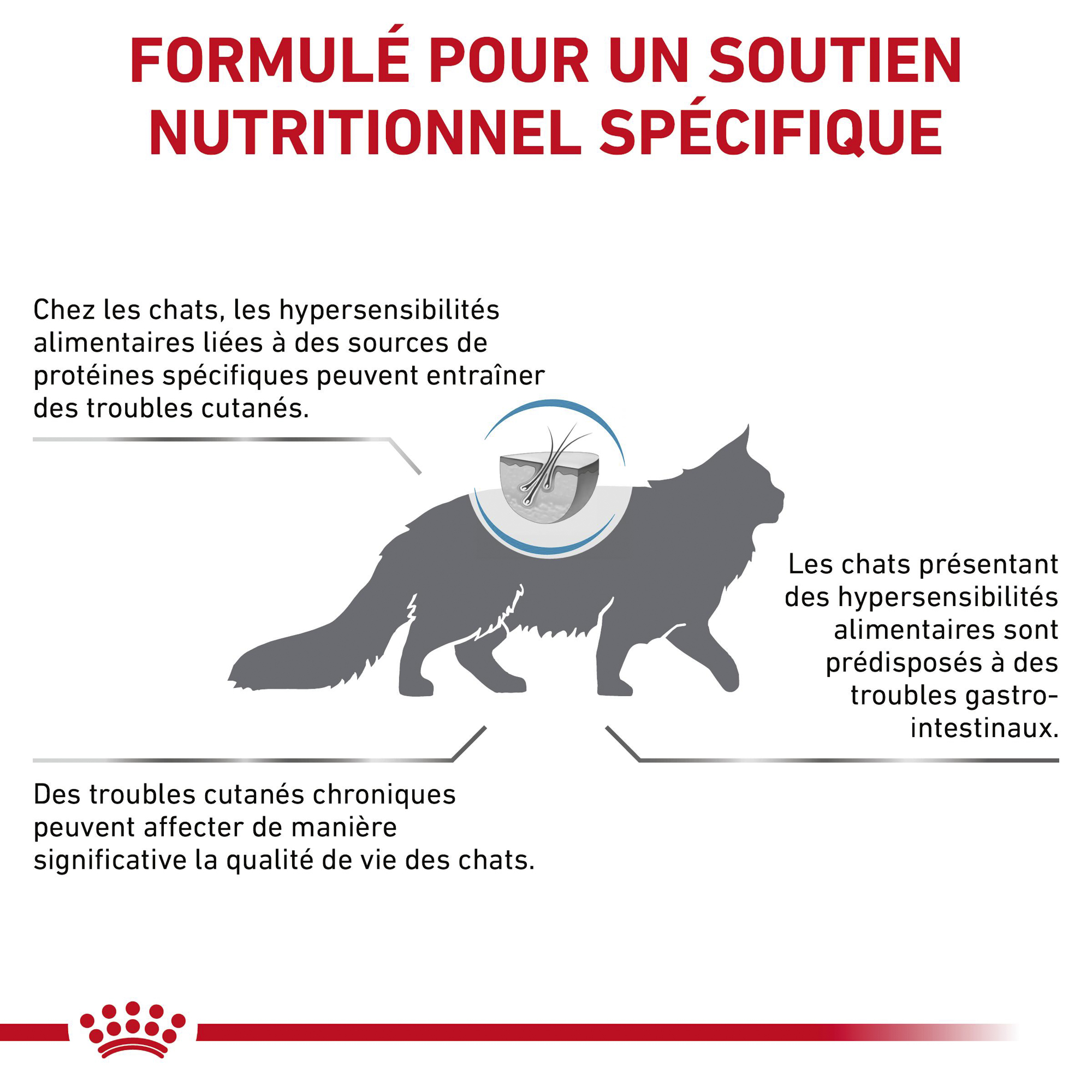 Royal Canin Hypoallergenic Chat