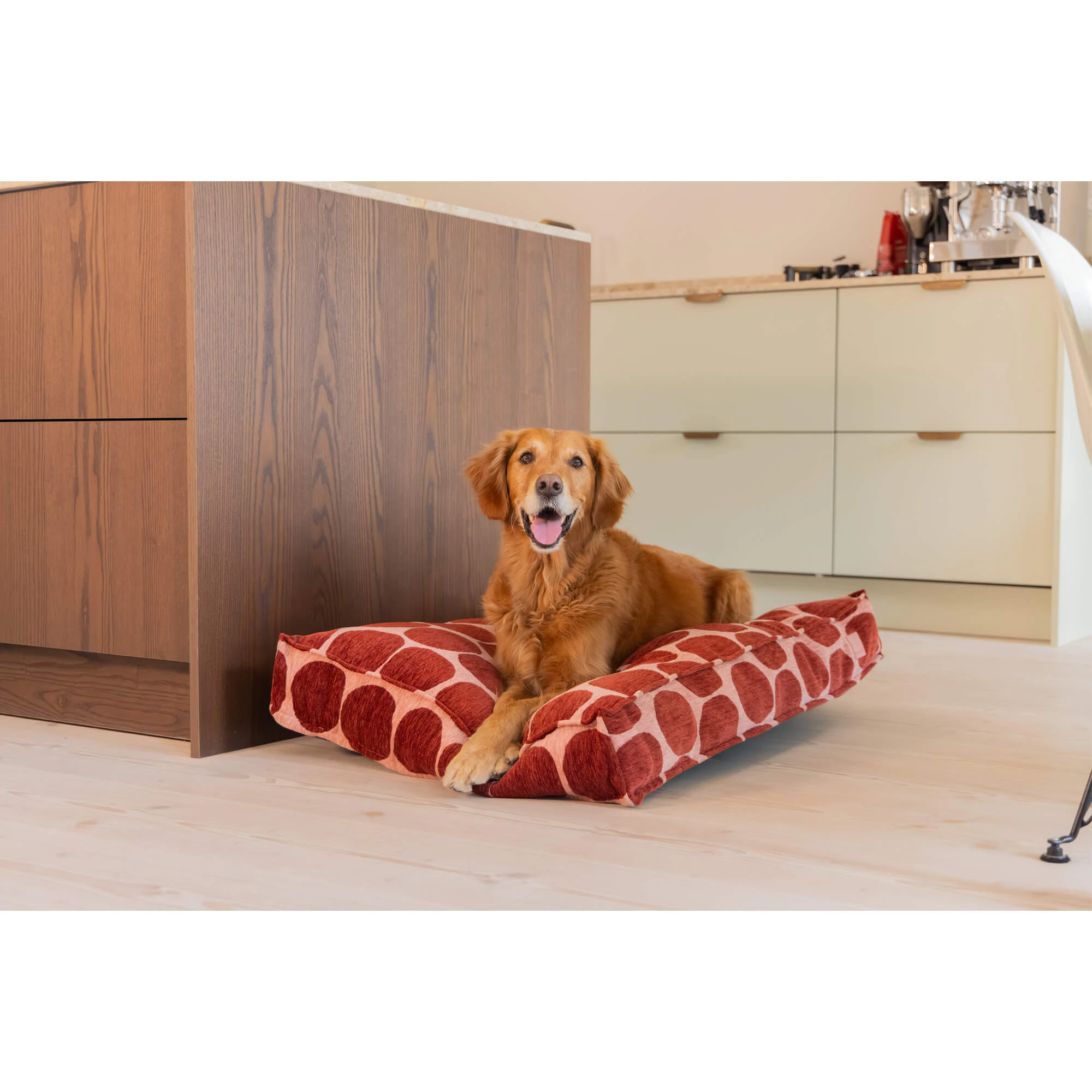 Beeztees Next Gen Cuscino Ortopedico per Cani