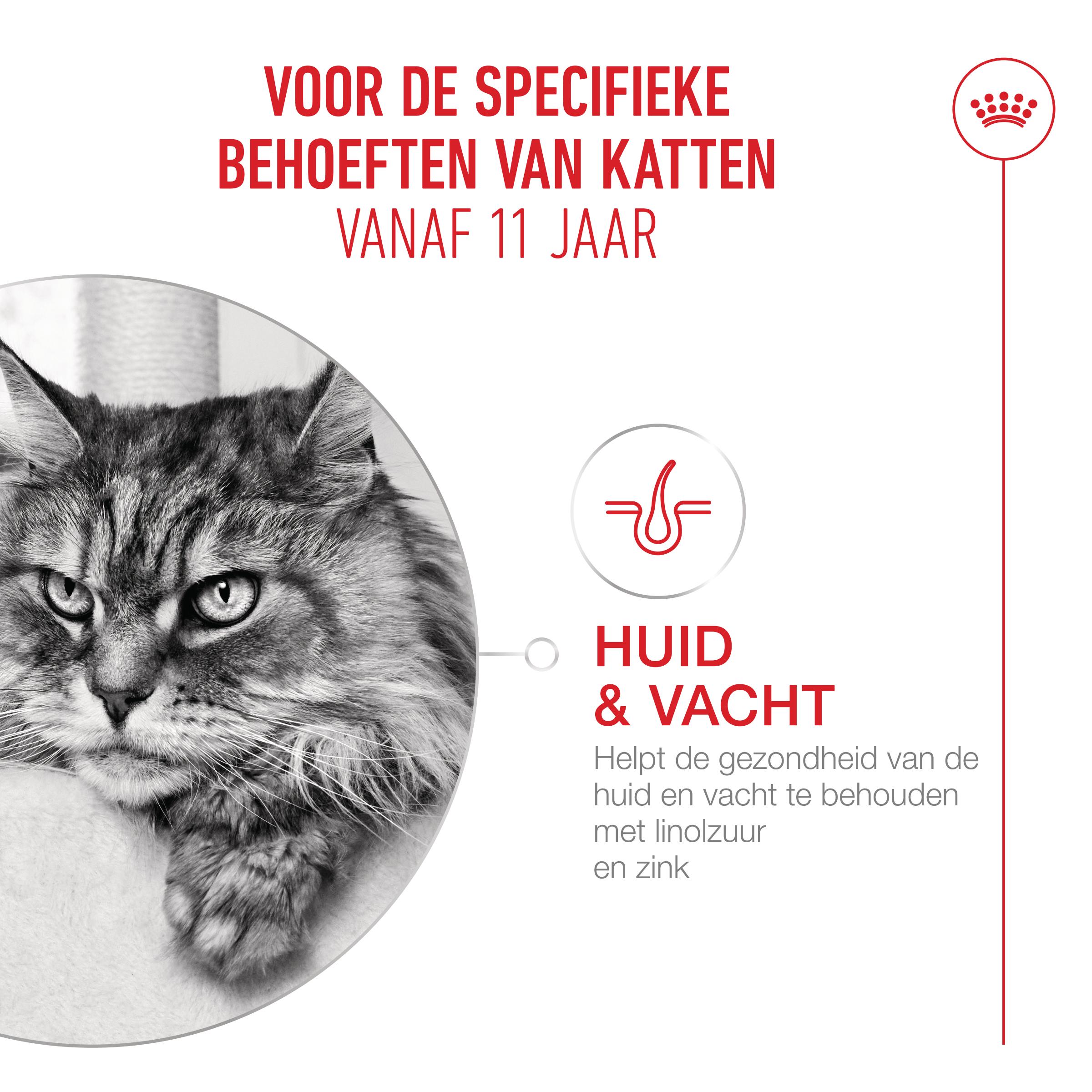 Royal Canin Ageing 11+ in Saus - Kattenvoer