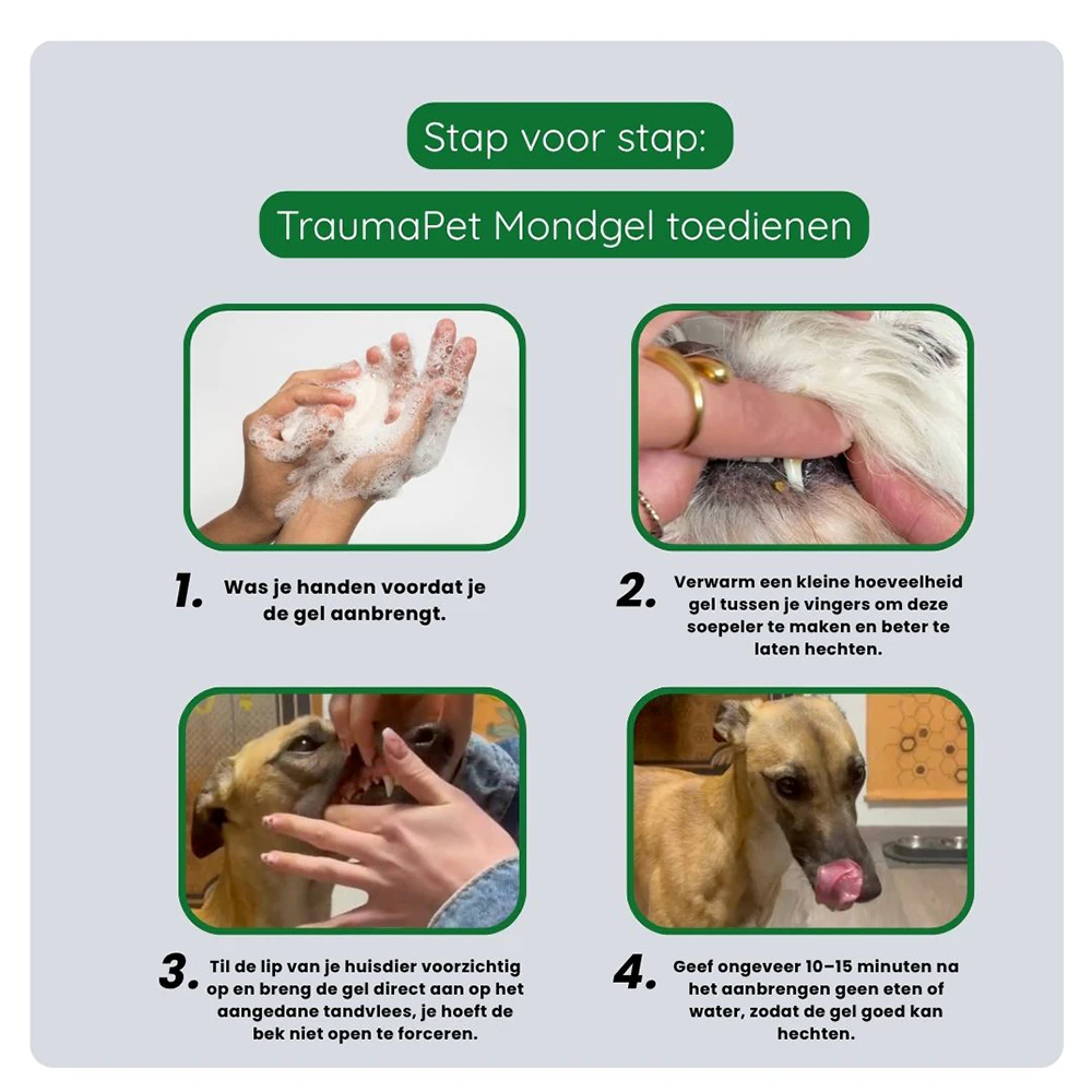 TraumaPet Mondgel