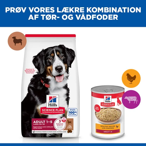 Hill's Science Plan Large Breed - Adult - Lam & Ris