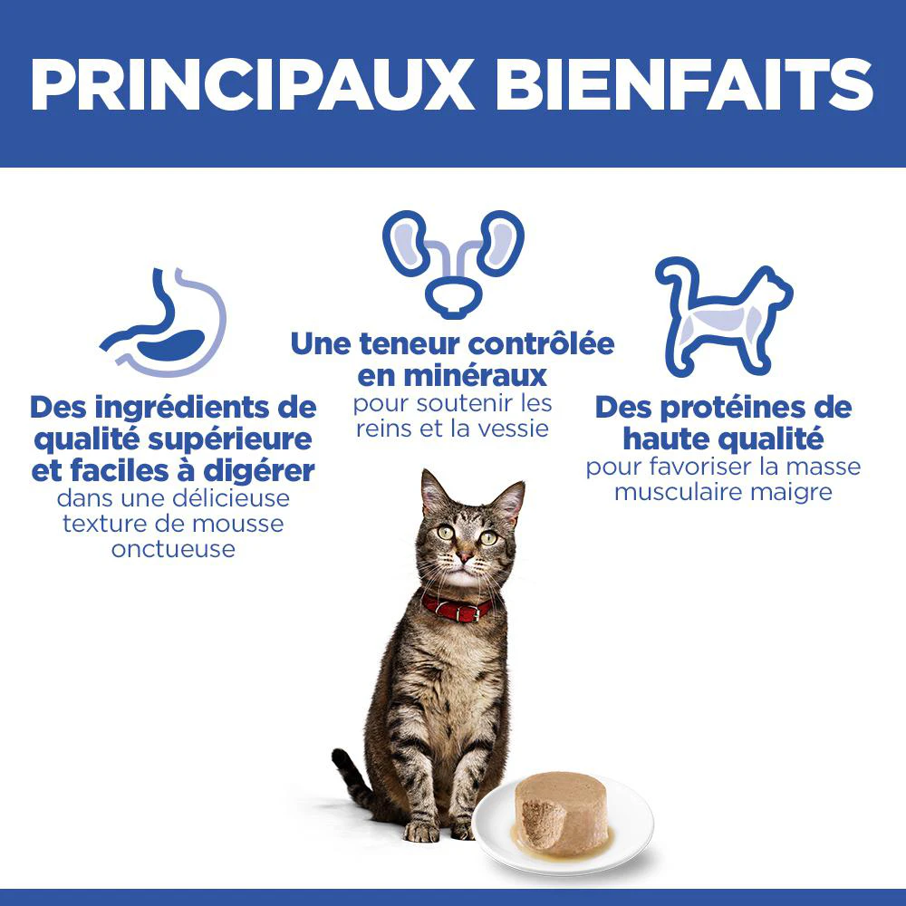 Hill's Science Plan Feline Adult Premium Mousse - Saumon