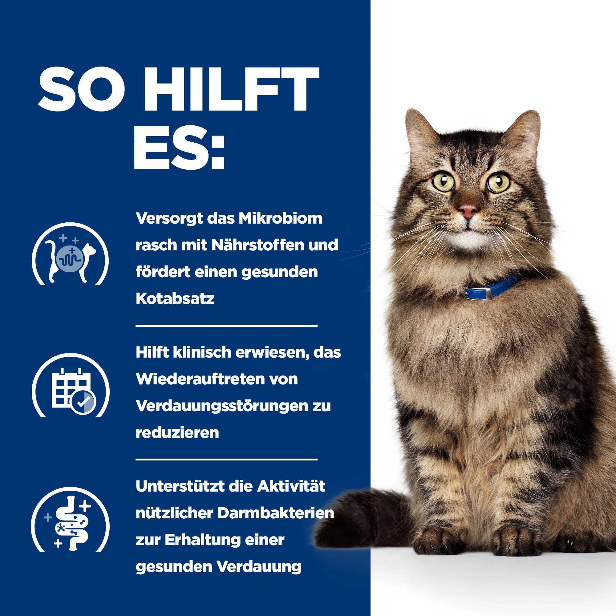 Hill's Prescription Diet - Gastrointestinal Biome - Feline - Nassfutter