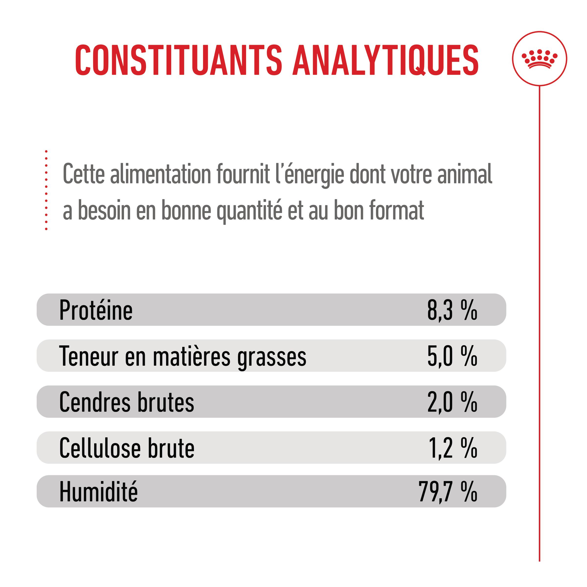 Royal Canin Maxi Puppy - Sachet