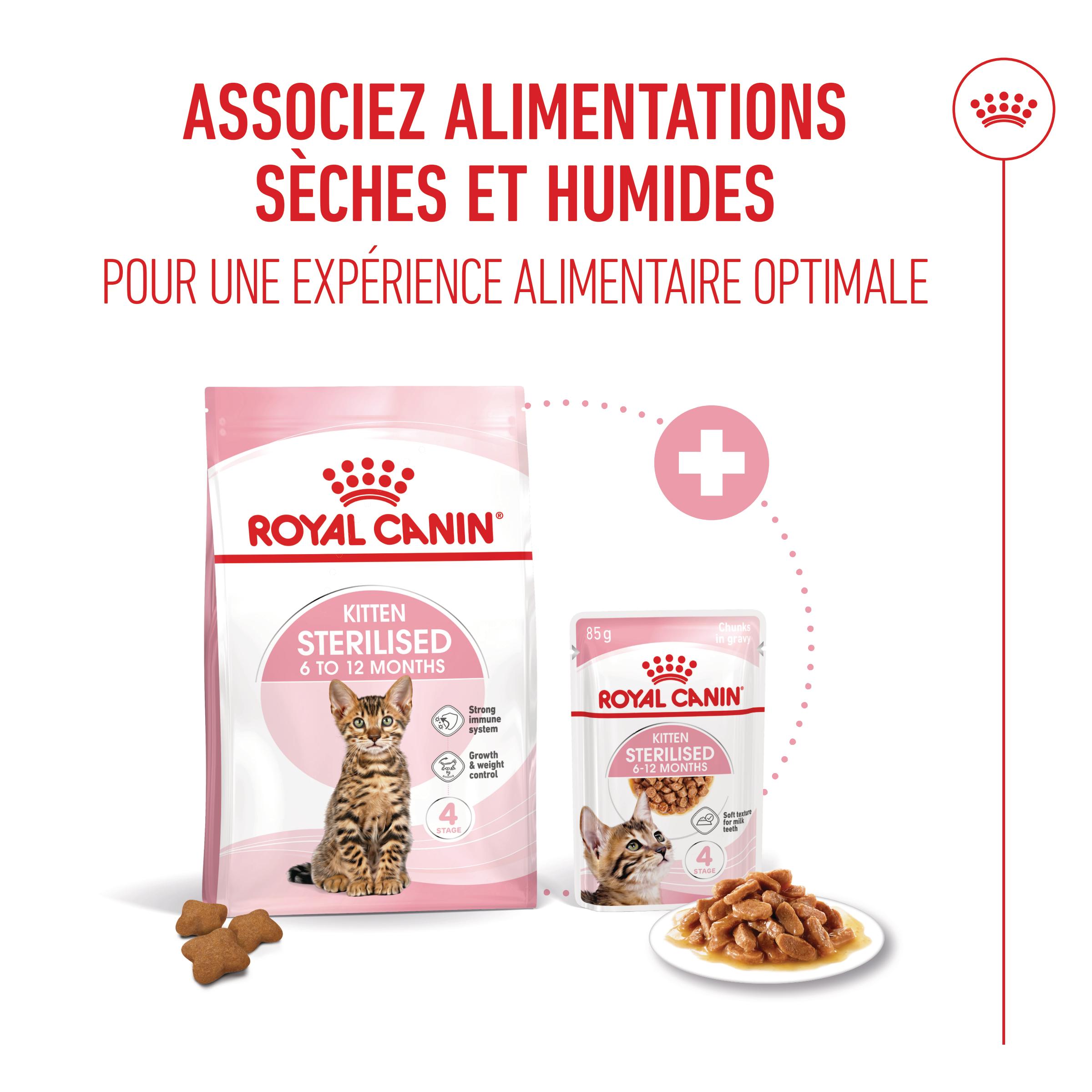 Royal Canin Kitten Sterilised in Gravy - Sachet