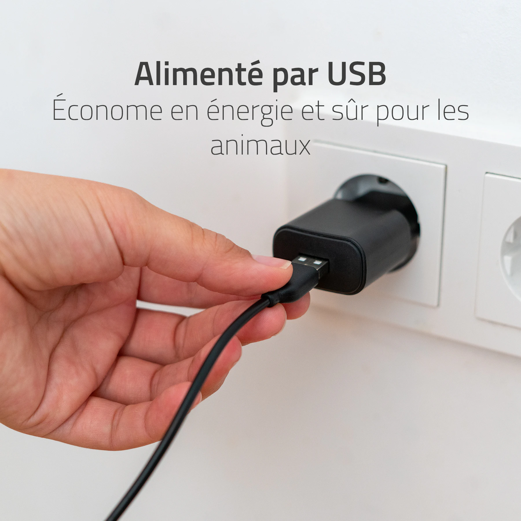 Hombli Smart Fontaine à Boisson