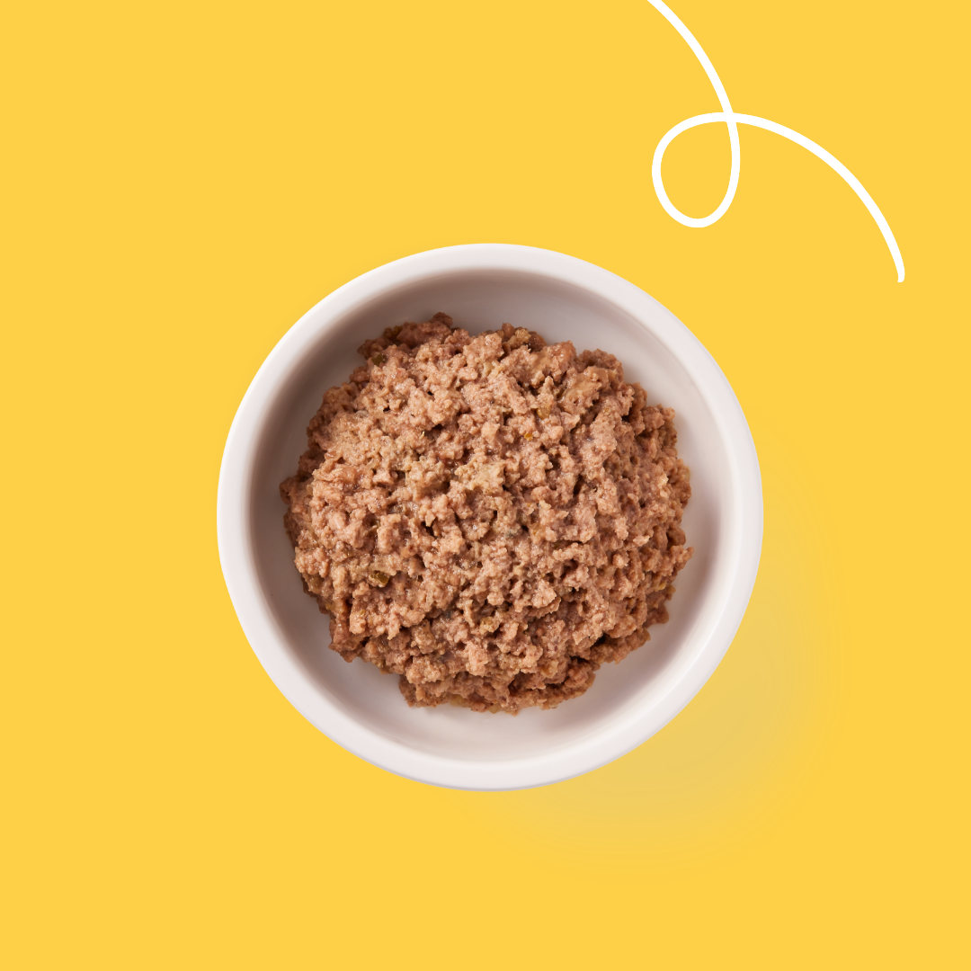 Yarrah - Paté Cat Food with Beef Bio