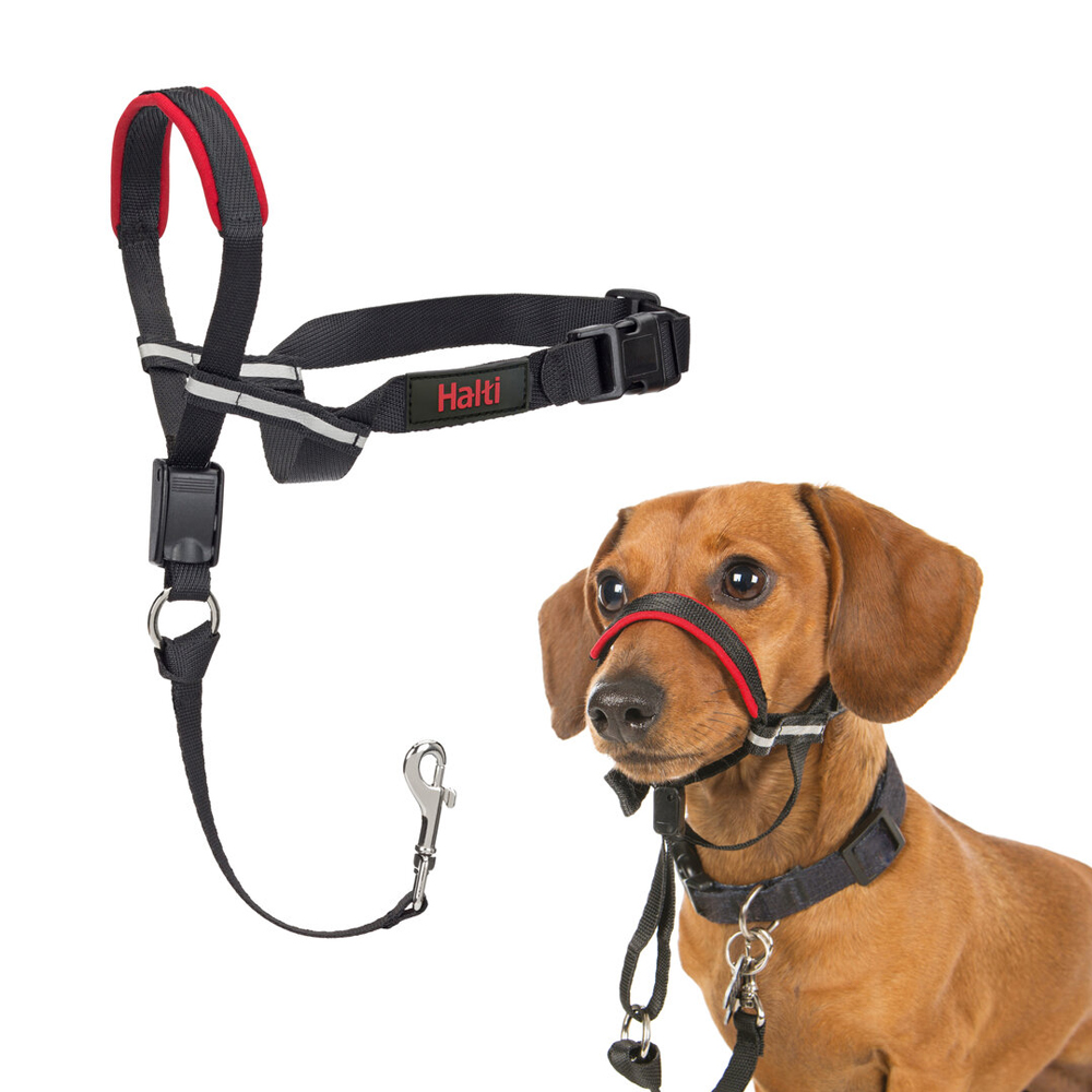 Halti OptiFit Headcollar | Stoppt das Ziehen an der Leine | Bestellen |  Medpets.de