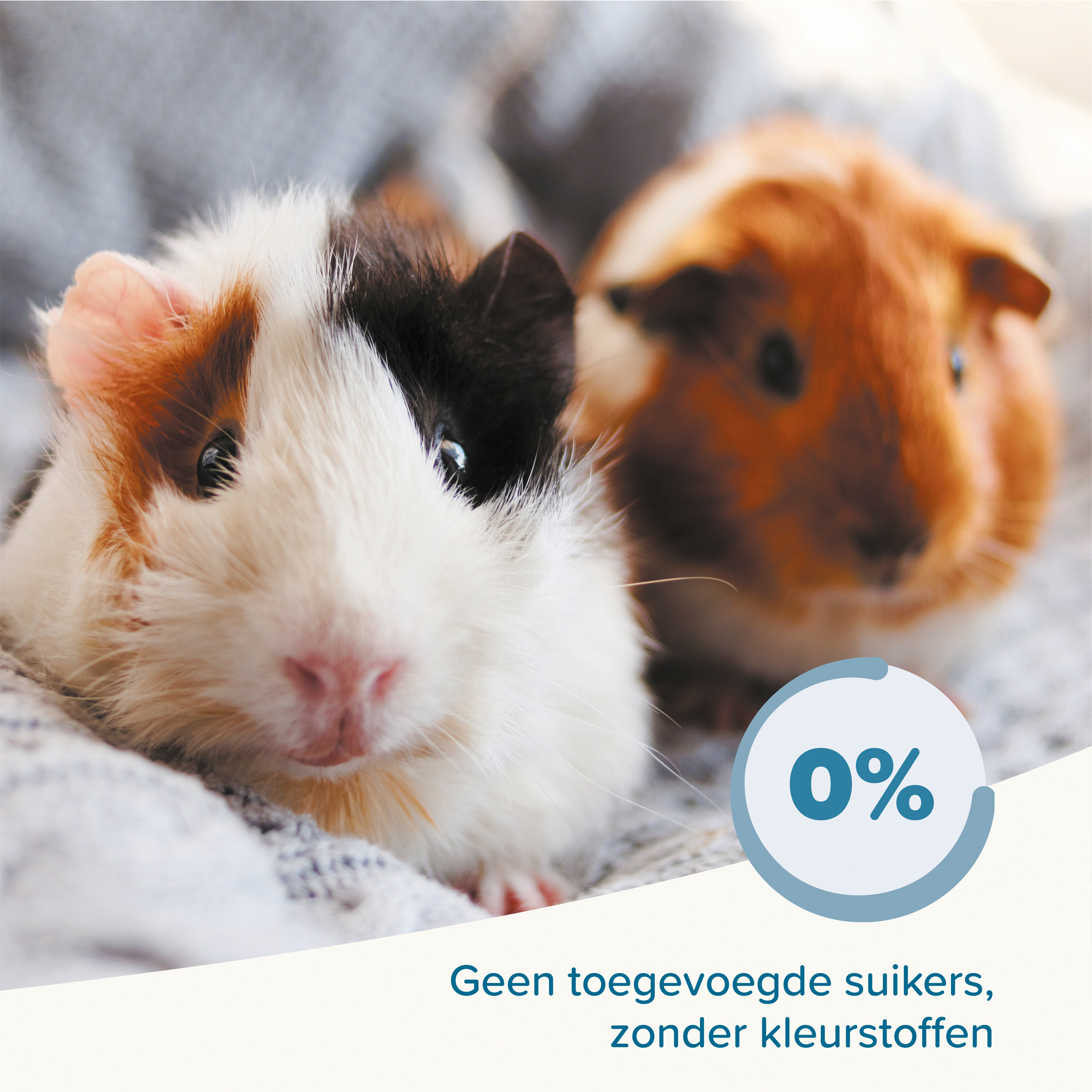 Beaphar Care+ Cavia