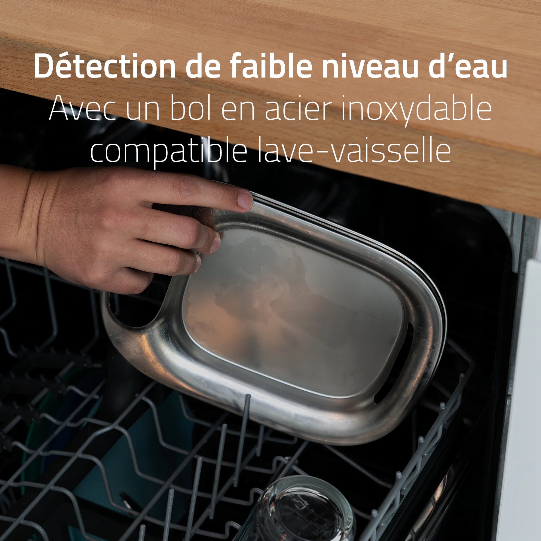 Hombli Smart Fontaine à Boisson