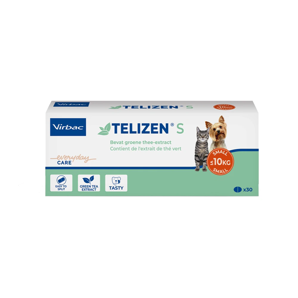 Telizen