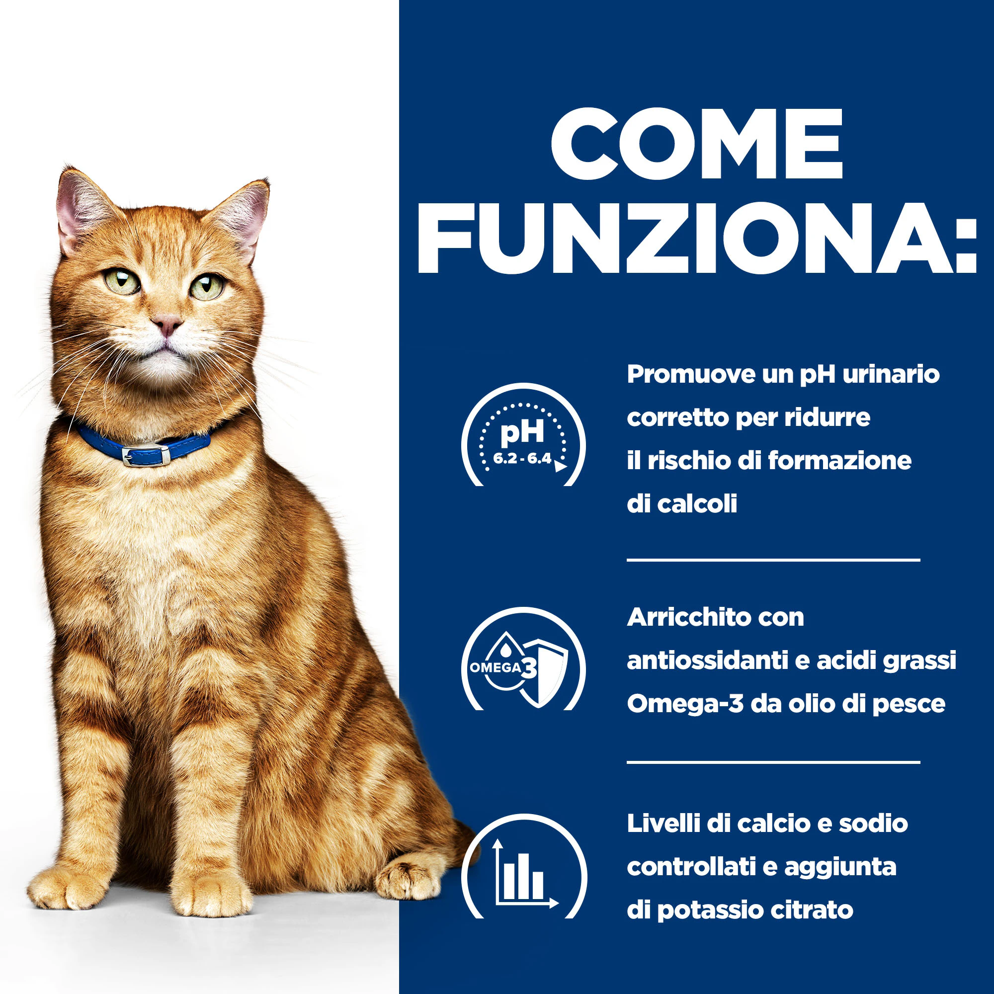 Hill's c/d Multicare - Prescription Diet - Feline - Busta