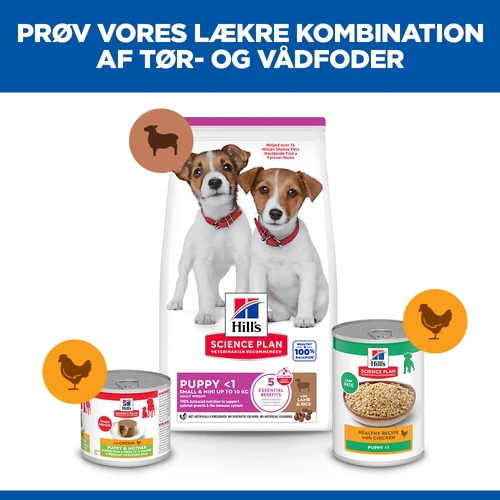 Hill's Science Plan Small & Mini - Hvalp - Lam & Ris