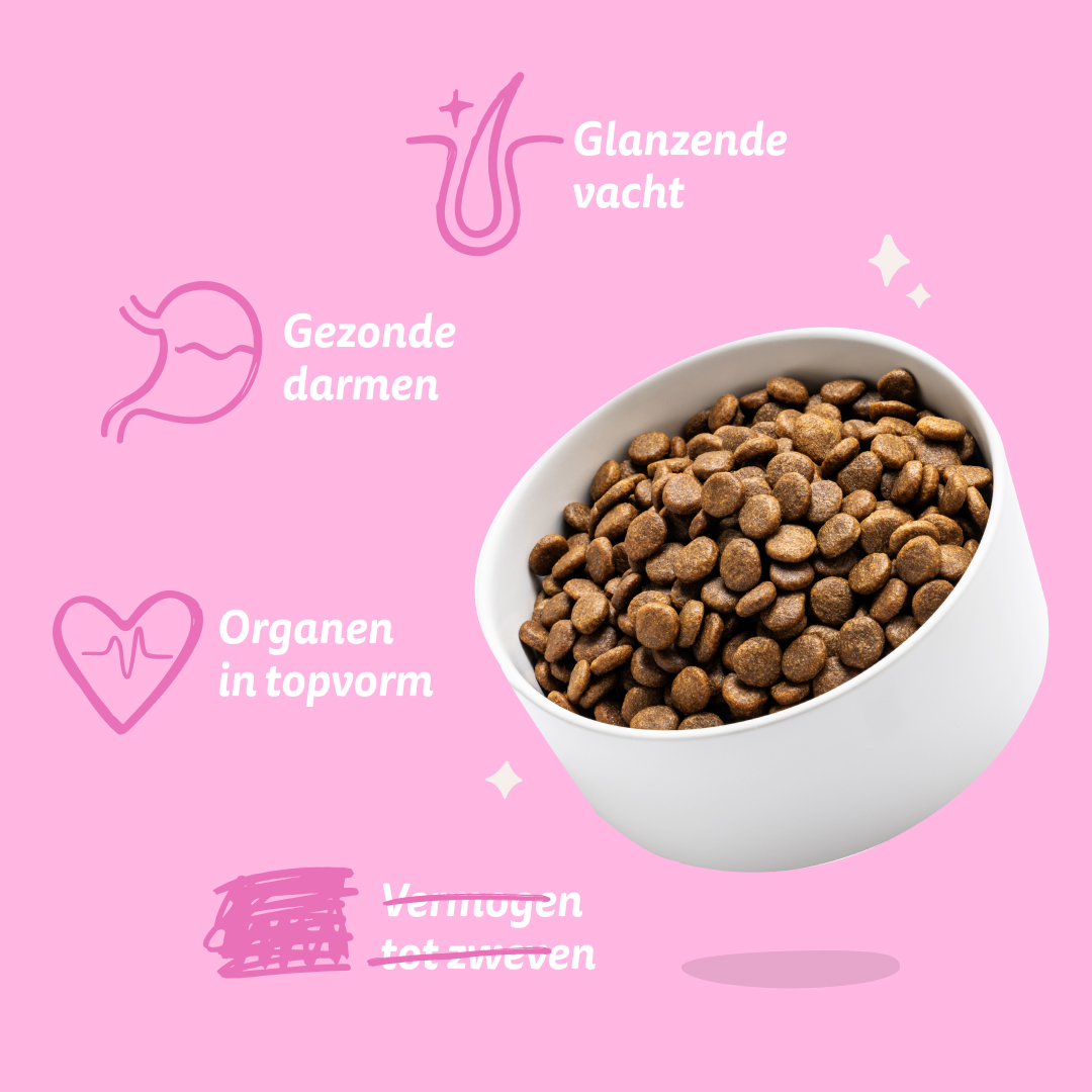 Edgard & Cooper Adult Plant Based Hondenvoer - Rode Biet & Pompoen