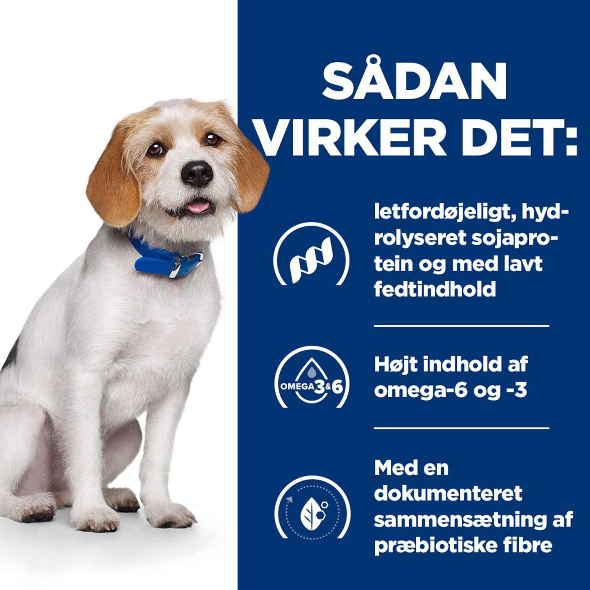 Hill's z/d Low Fat Food Sensitivities - Prescription Diet - Til Hunde