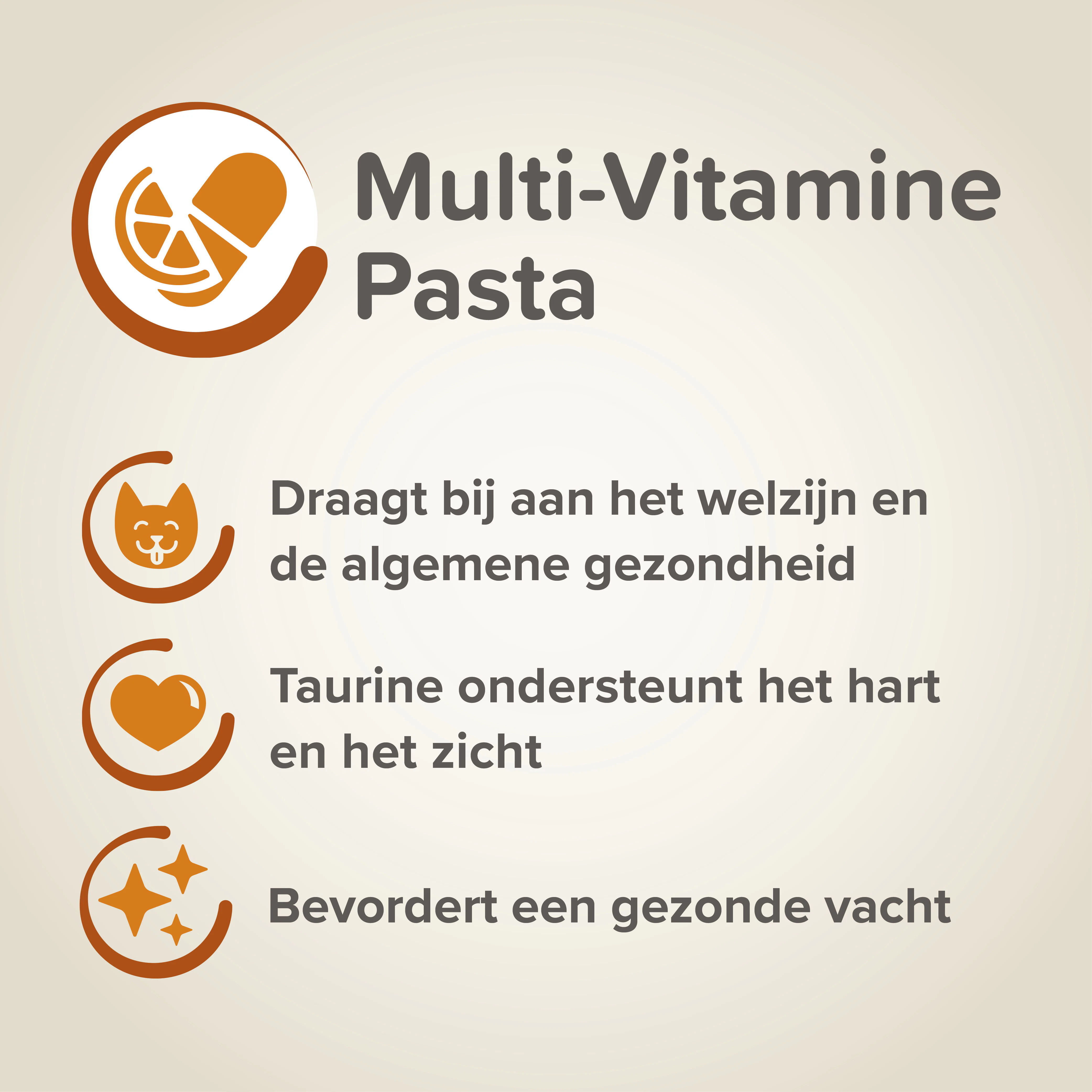 Beaphar Multi Vitamin Paste Kat