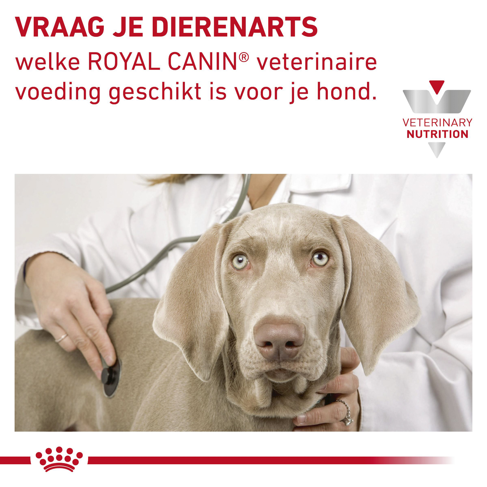 Royal Canin Gastro Intestinal Low Fat | Darmproblemen | Medpets.nl