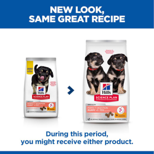 Hill's Science Plan Perfect Digestion Medium Puppy Food