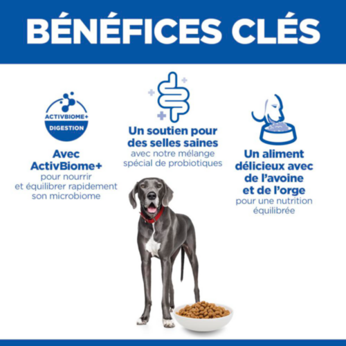 Hill's Science Plan Adult Perfect Digestion Large Breed