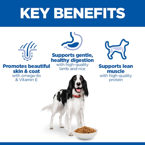 Hill's Science Plan Medium - Adult - Lamb & Rice