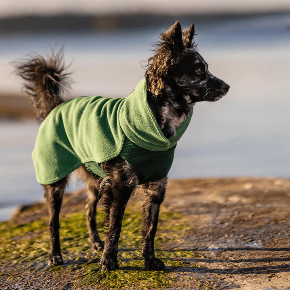Paikka Seawool Shirt - Green - 25