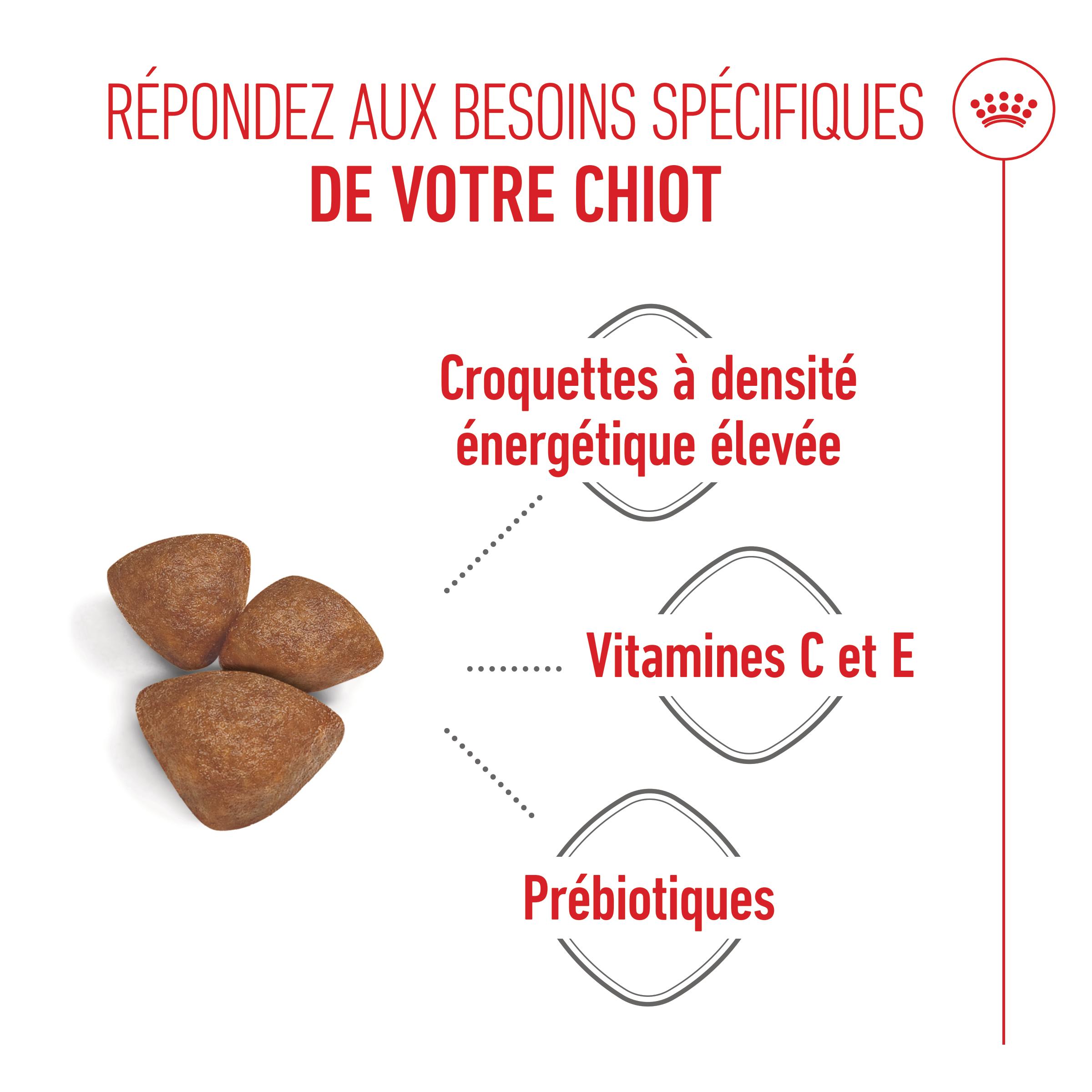 Royal Canin Mini Starter Mother & Babydog - Aliment pour Chien