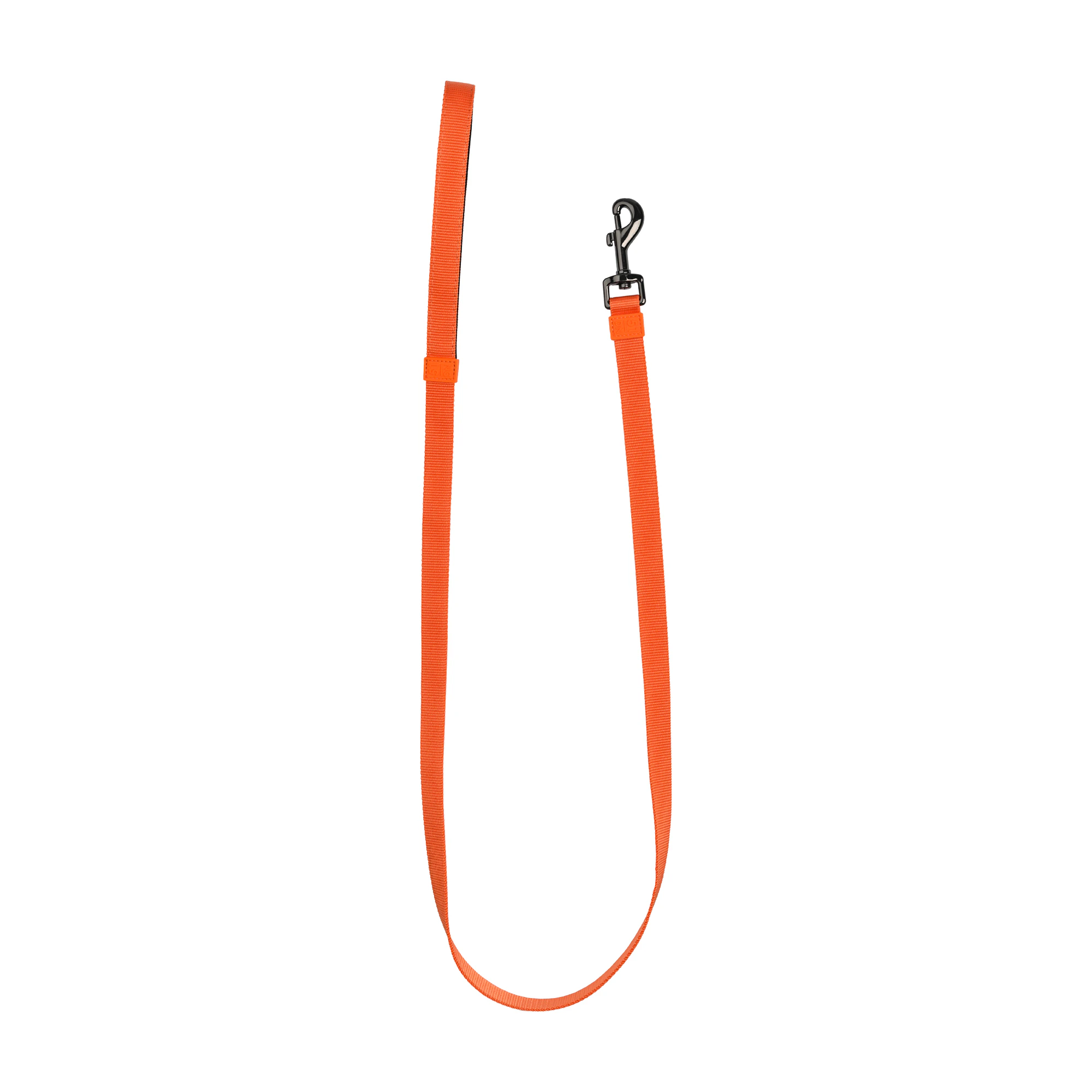 51 Degrees North Wanderful Leash Flat