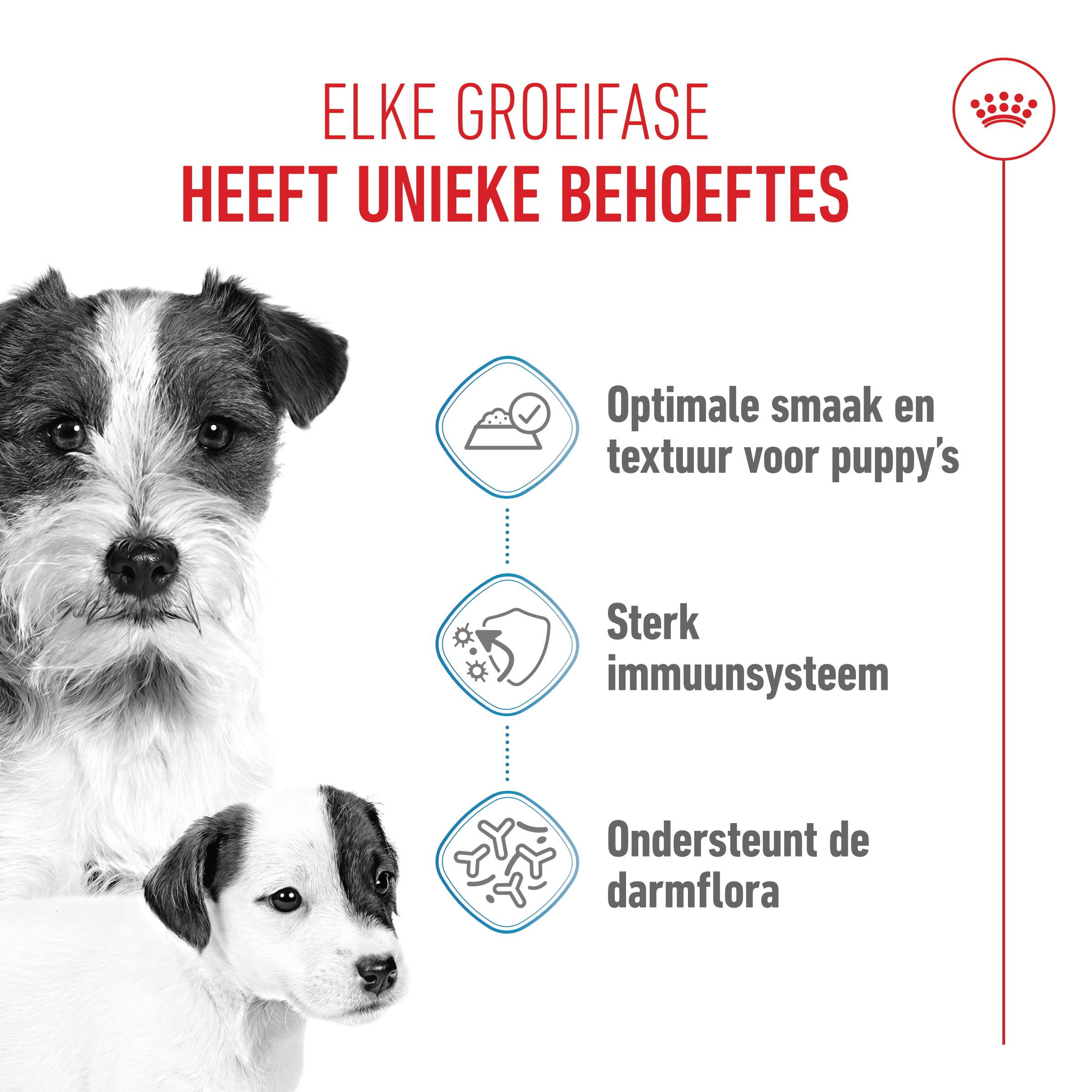 Royal Canin Starter Mousse Mother & Babydog - Hondenvoer