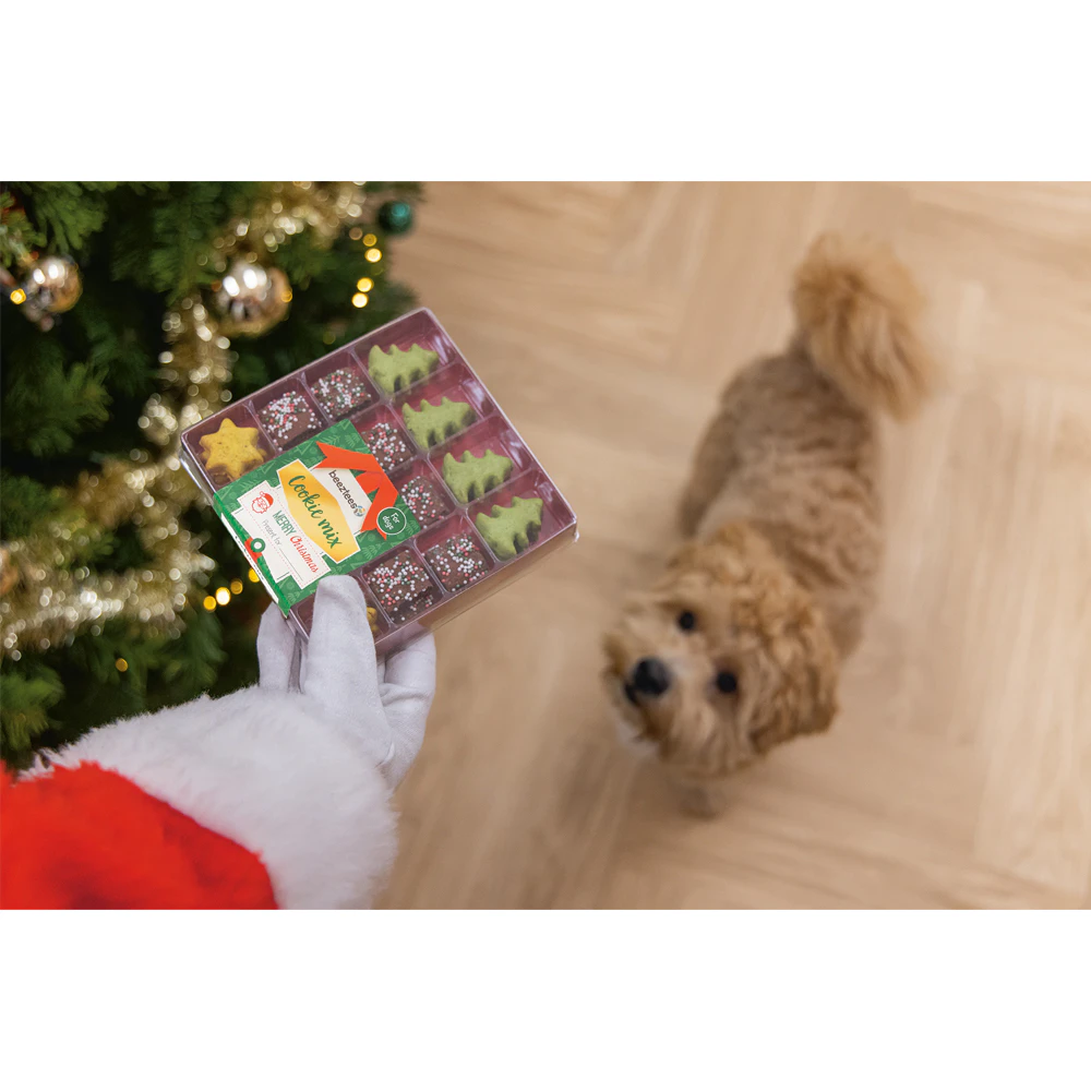 Beeztees Kerstkoekjes Mix