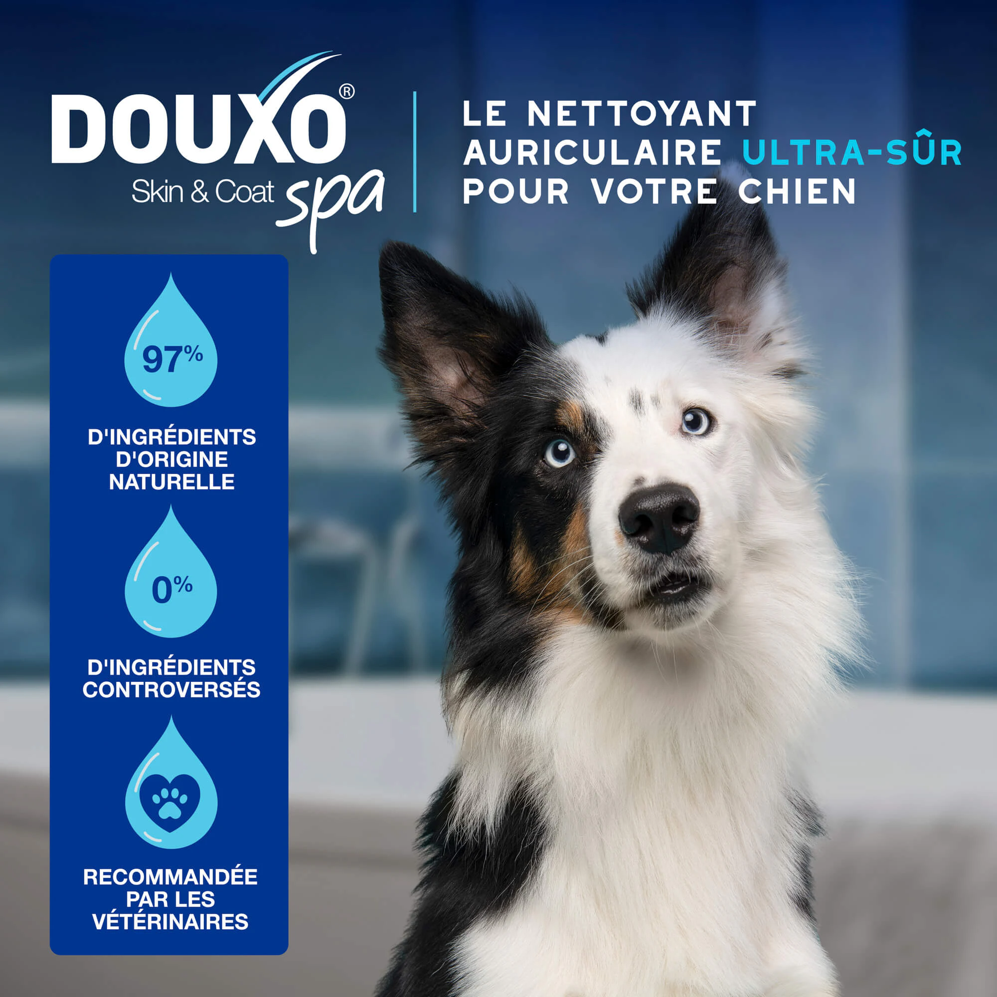 Douxo Spa - Nettoyant pour les Oreilles
