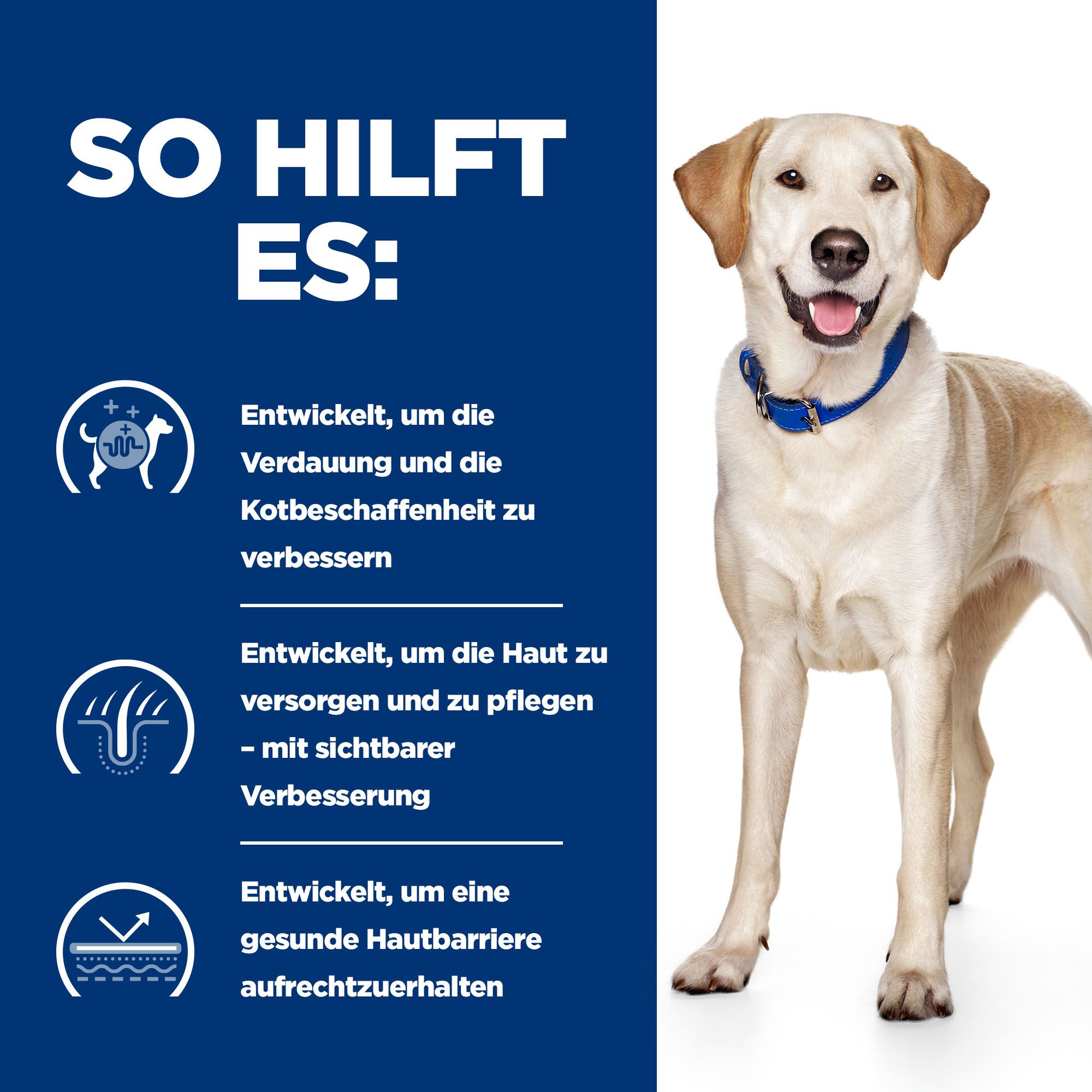 Hill's Prescription Diet d/d Food Sensitivities Hundefutter - Dosen