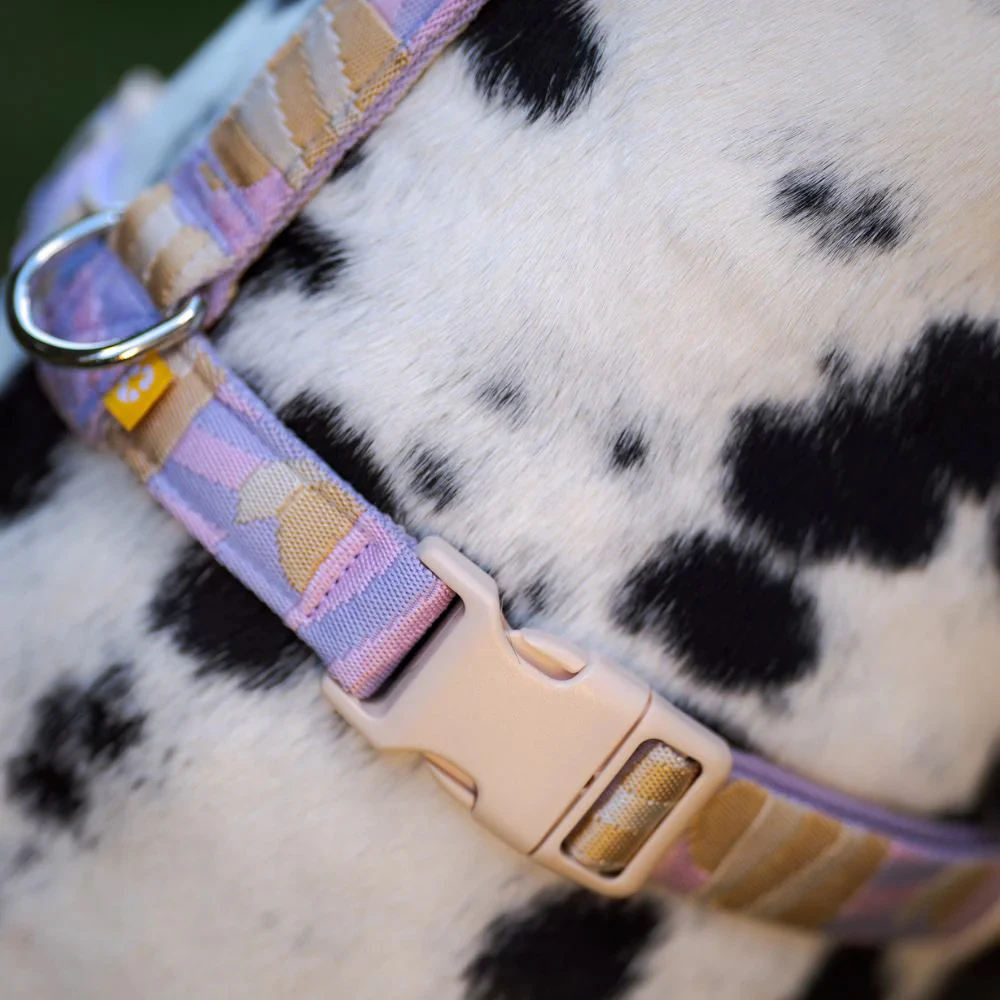 Woolly Wolf Sunshower Harness