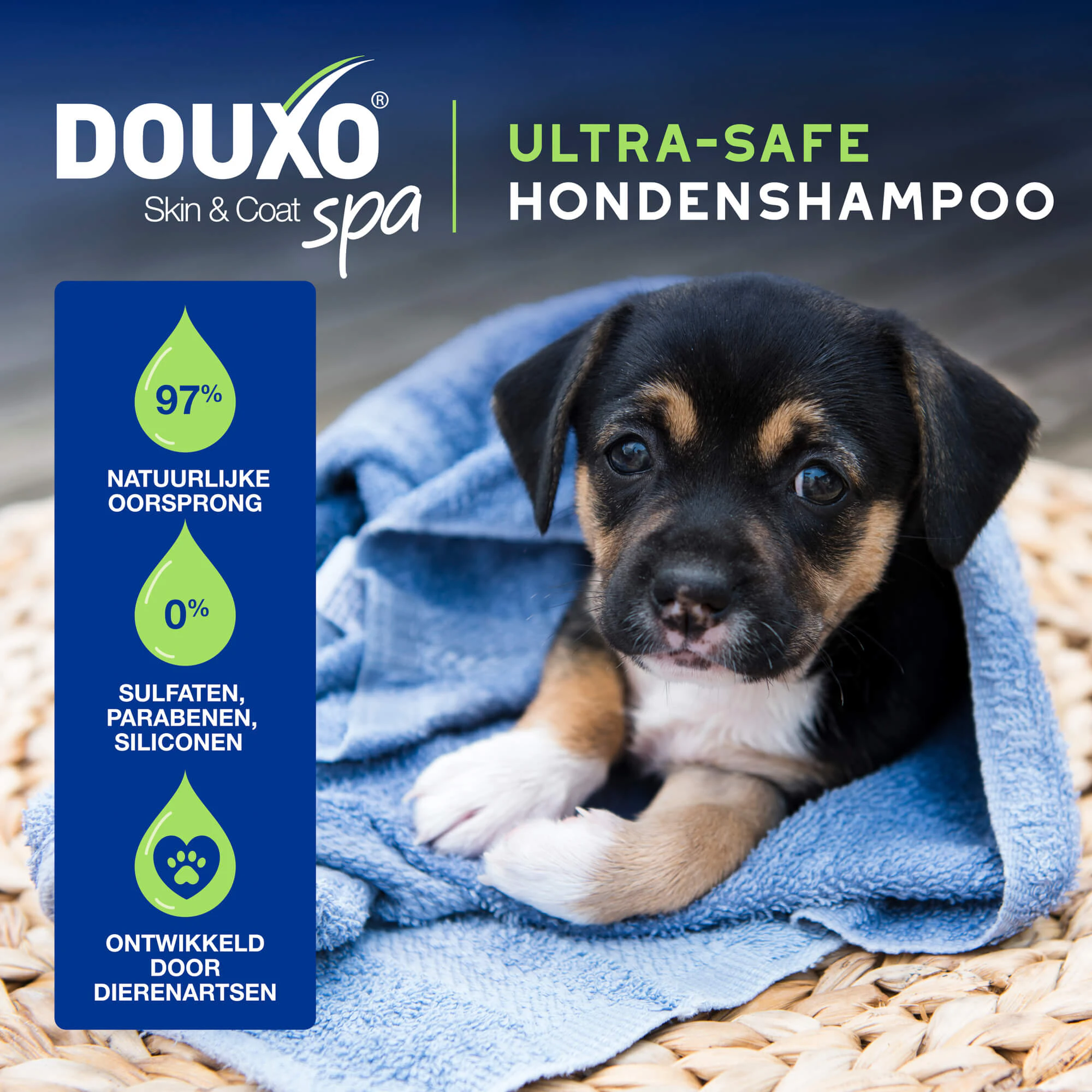 Douxo  Spa Shampoo Puppy