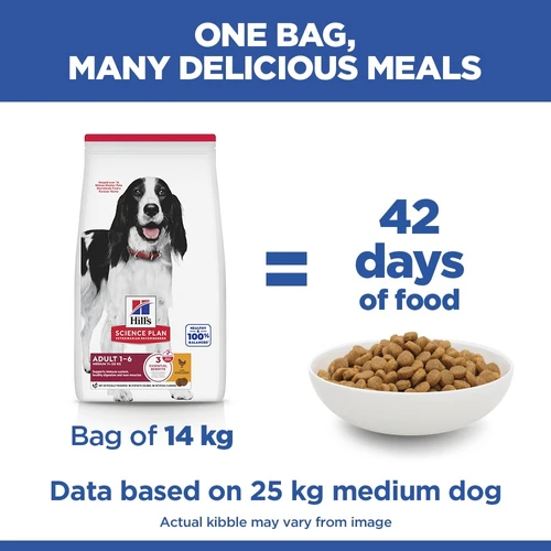 Hill's Science Plan - Medium - Adult - Chicken