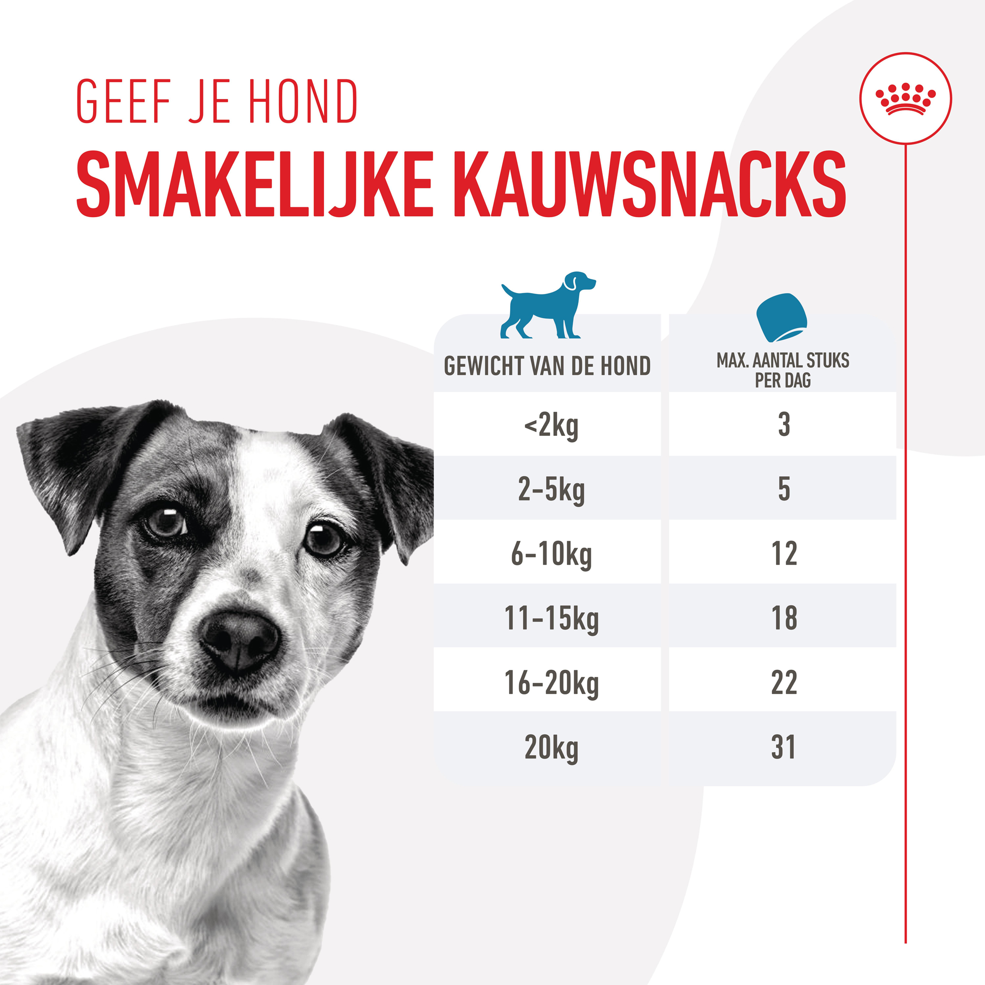 Royal Canin Training Treats