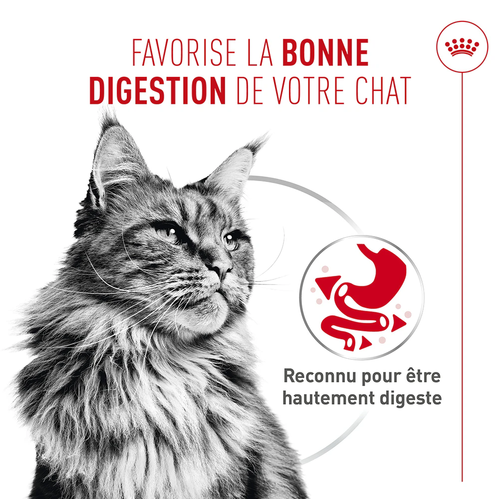 Royal Canin Digestive Care Mousse - Pour chat