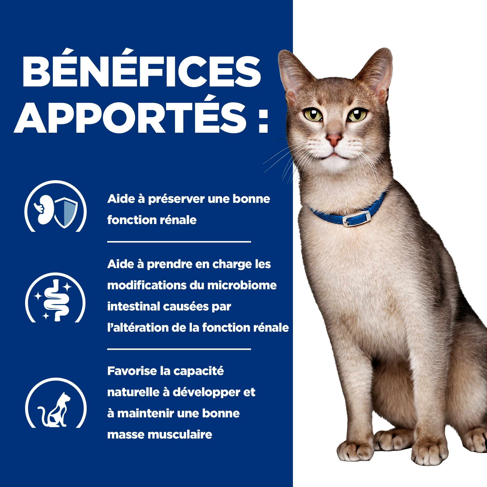Hill's k/d Kidney Care - Prescription Diet - Félin - Mousse