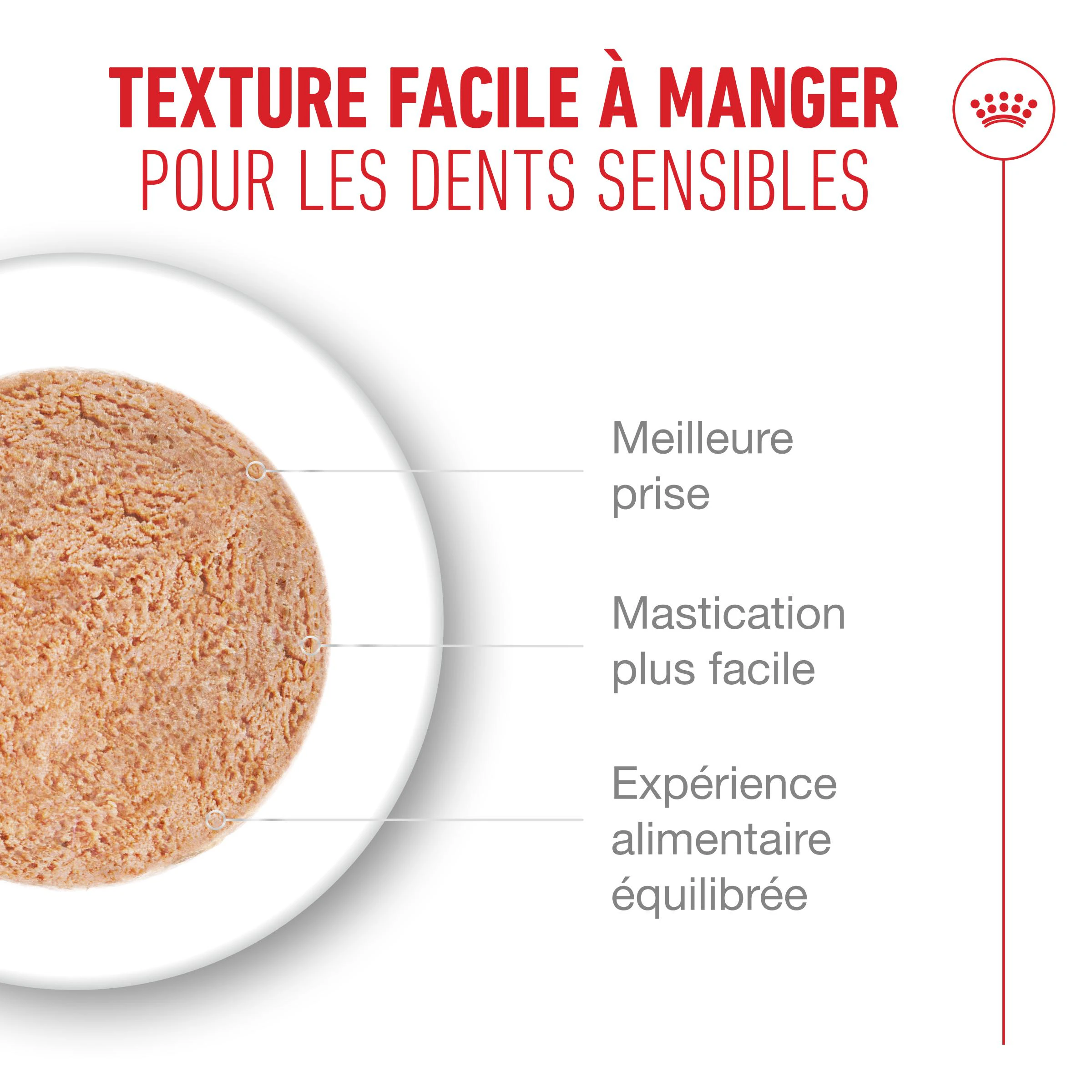 Royal Canin Ageing 11+ Mousse - Nourriture pour chats