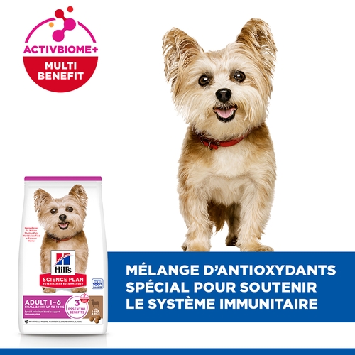 Hill's Science Plan Small & Mini - Adult - Agneau et Riz