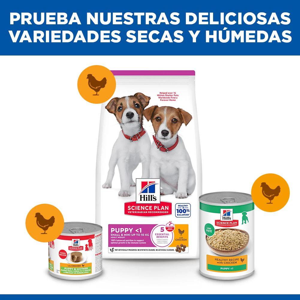 Hill's Science Plan Small & Mini - Puppy - Pollo