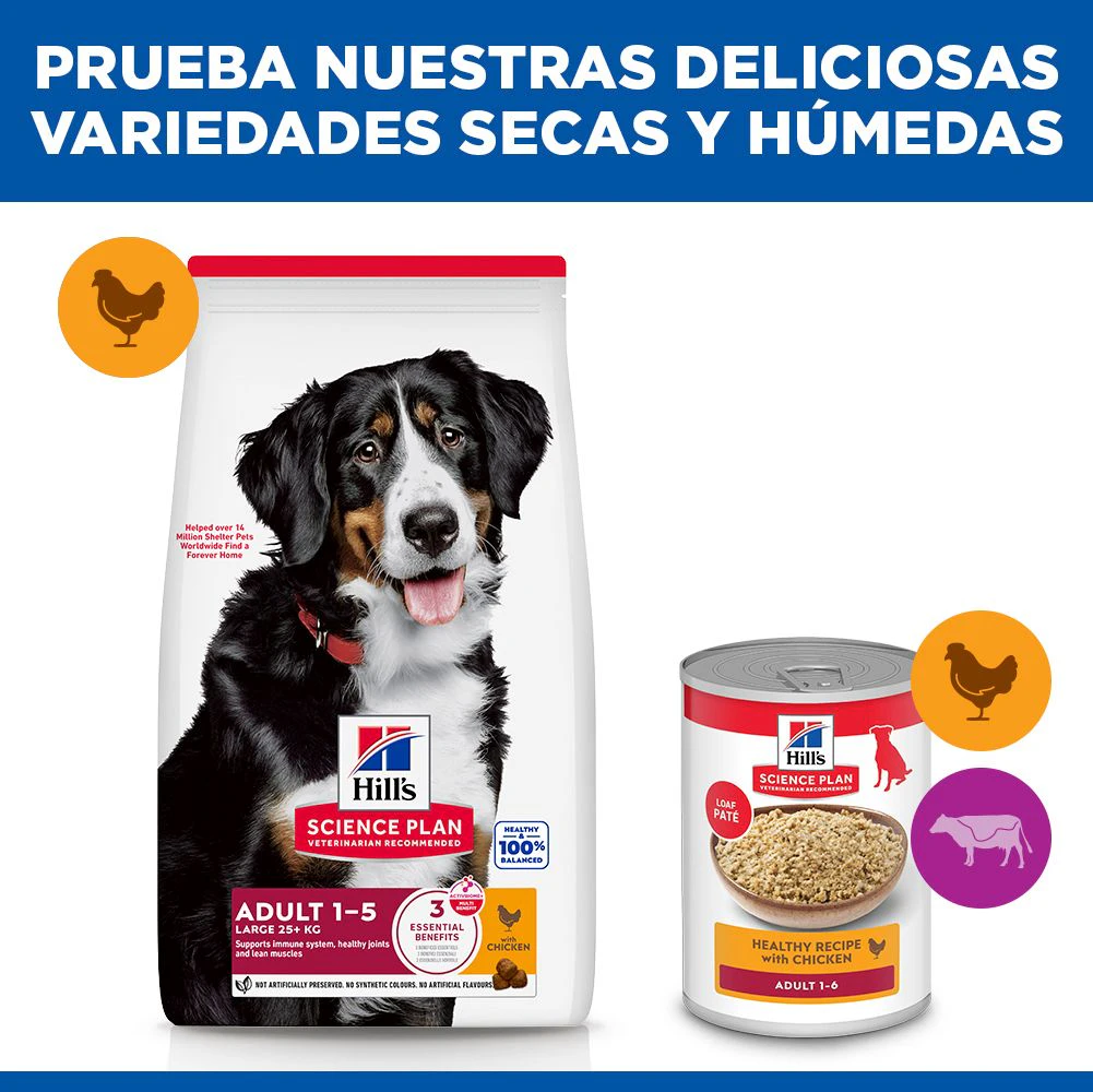 Hill's Science Plan - Large Breed - Adult - Pollo