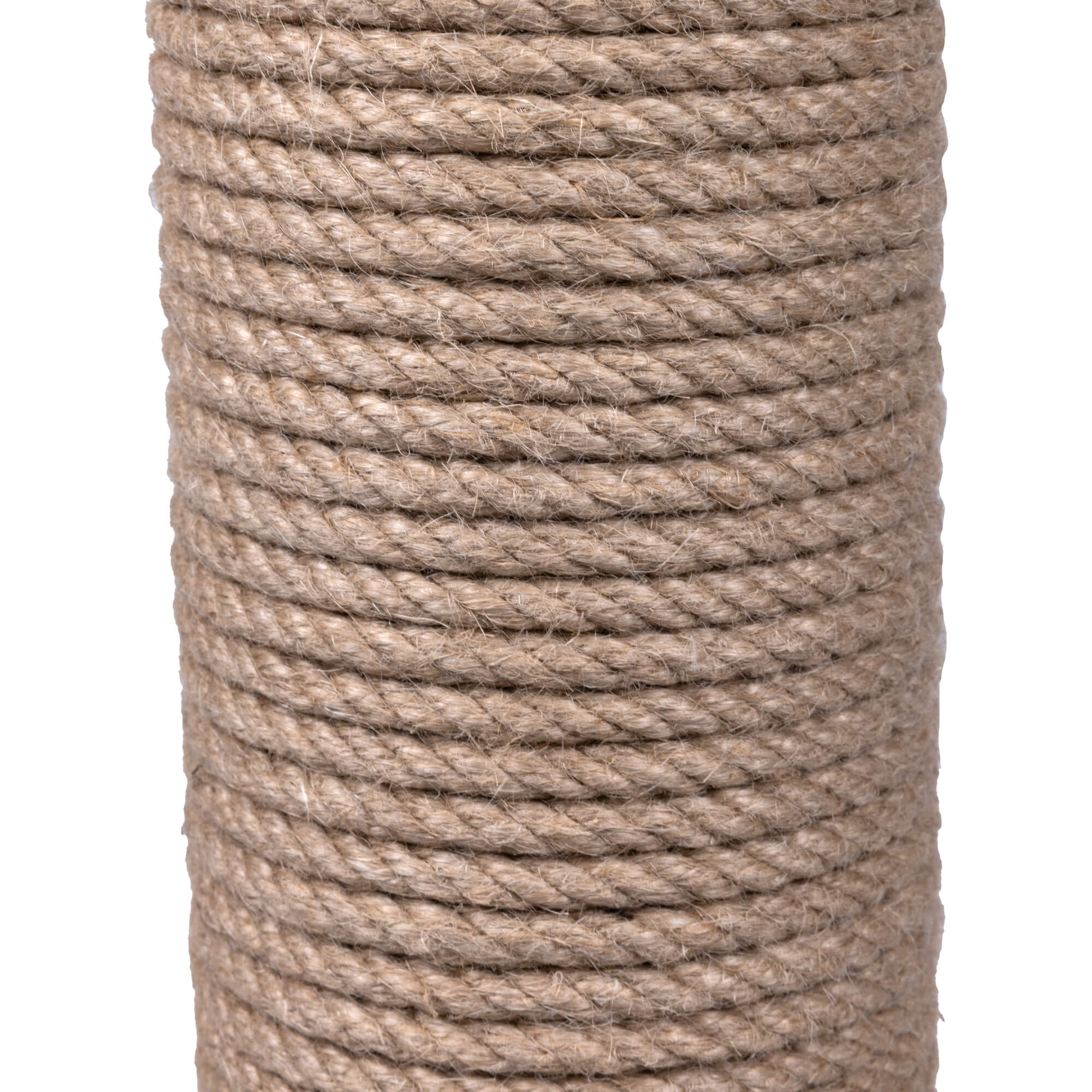 Buckz kradsetræ Lokke